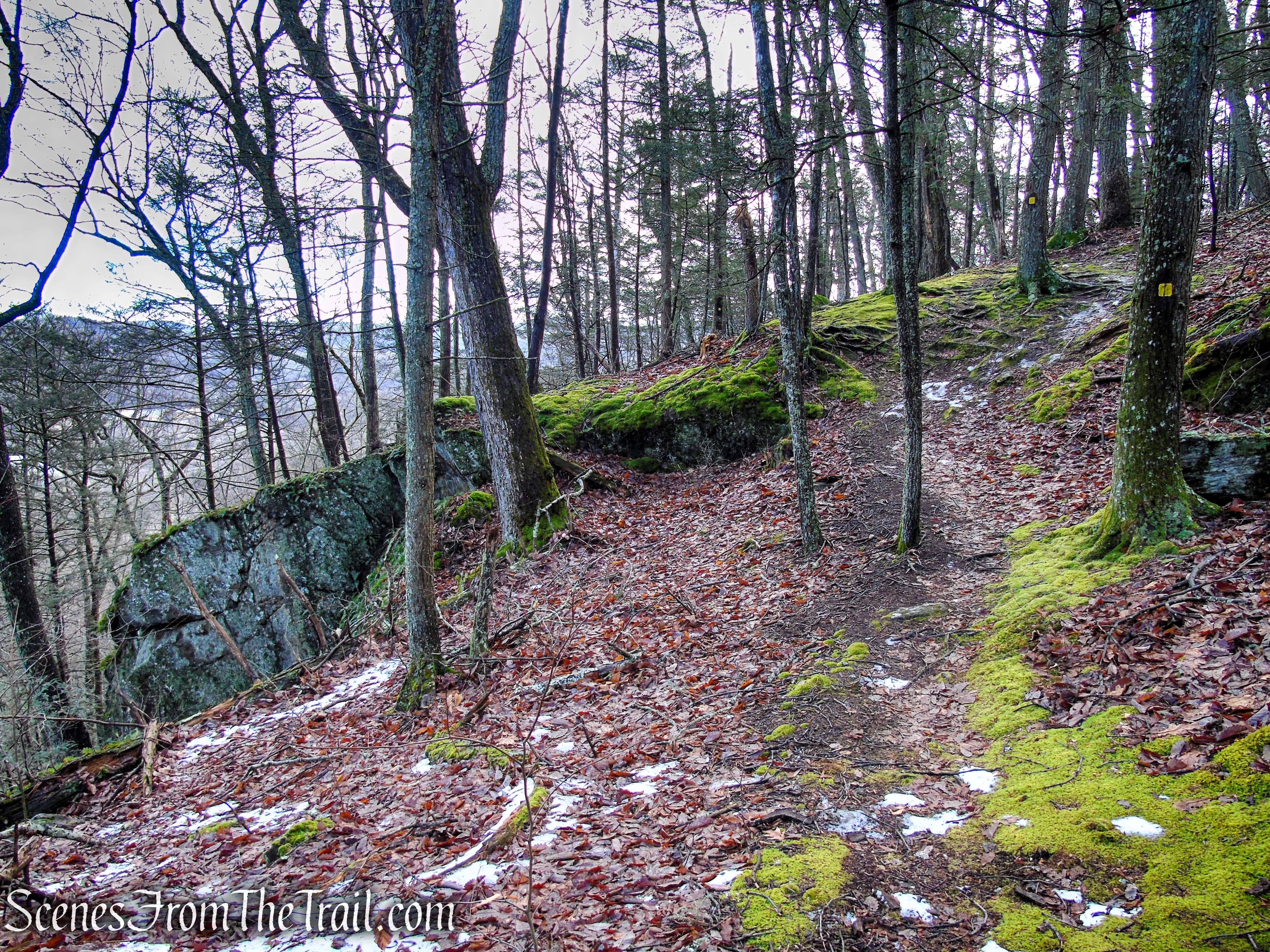 Amy's Lookout Trail - Herrick Preserve