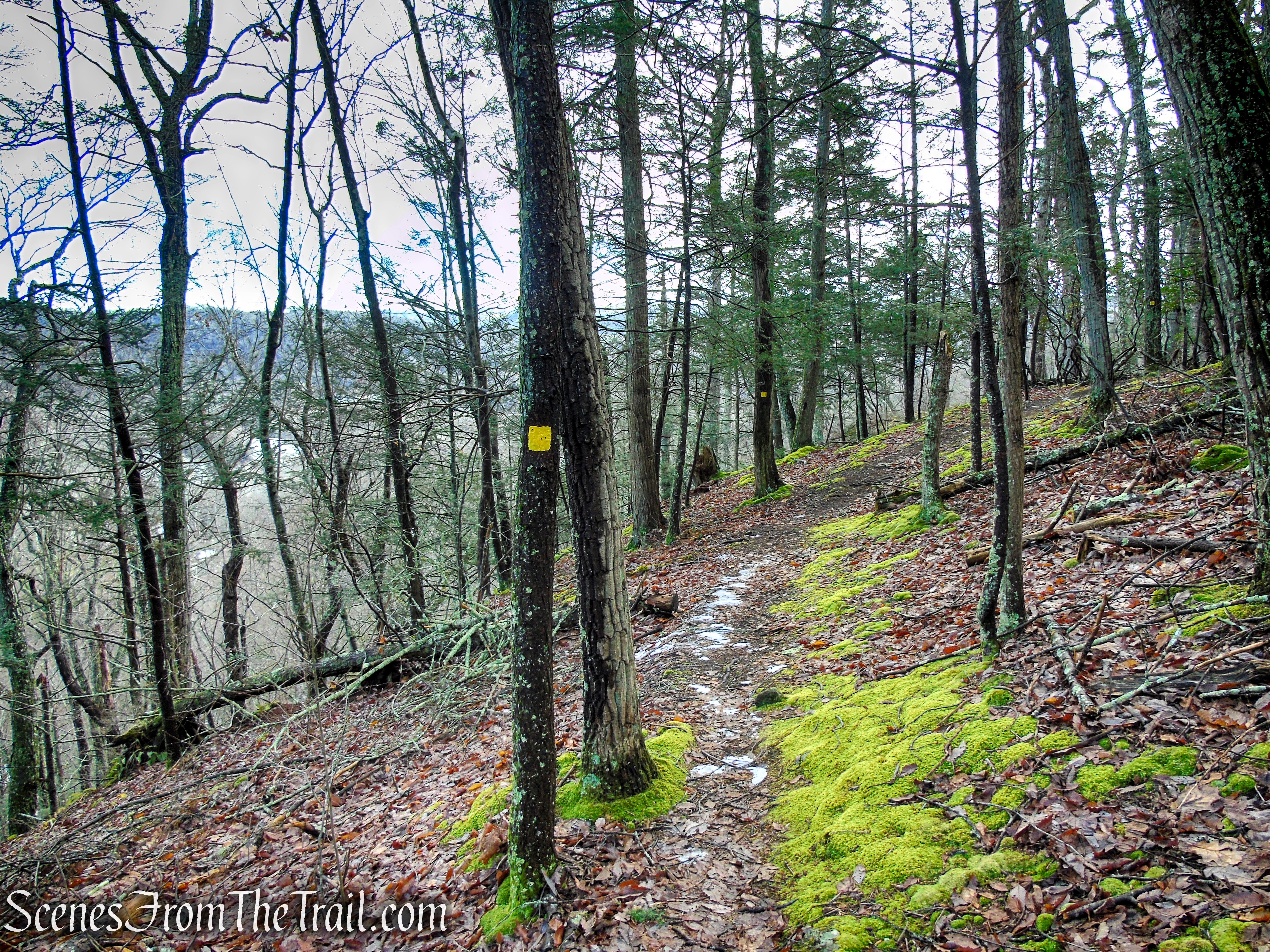 Amy's Lookout Trail - Herrick Preserve