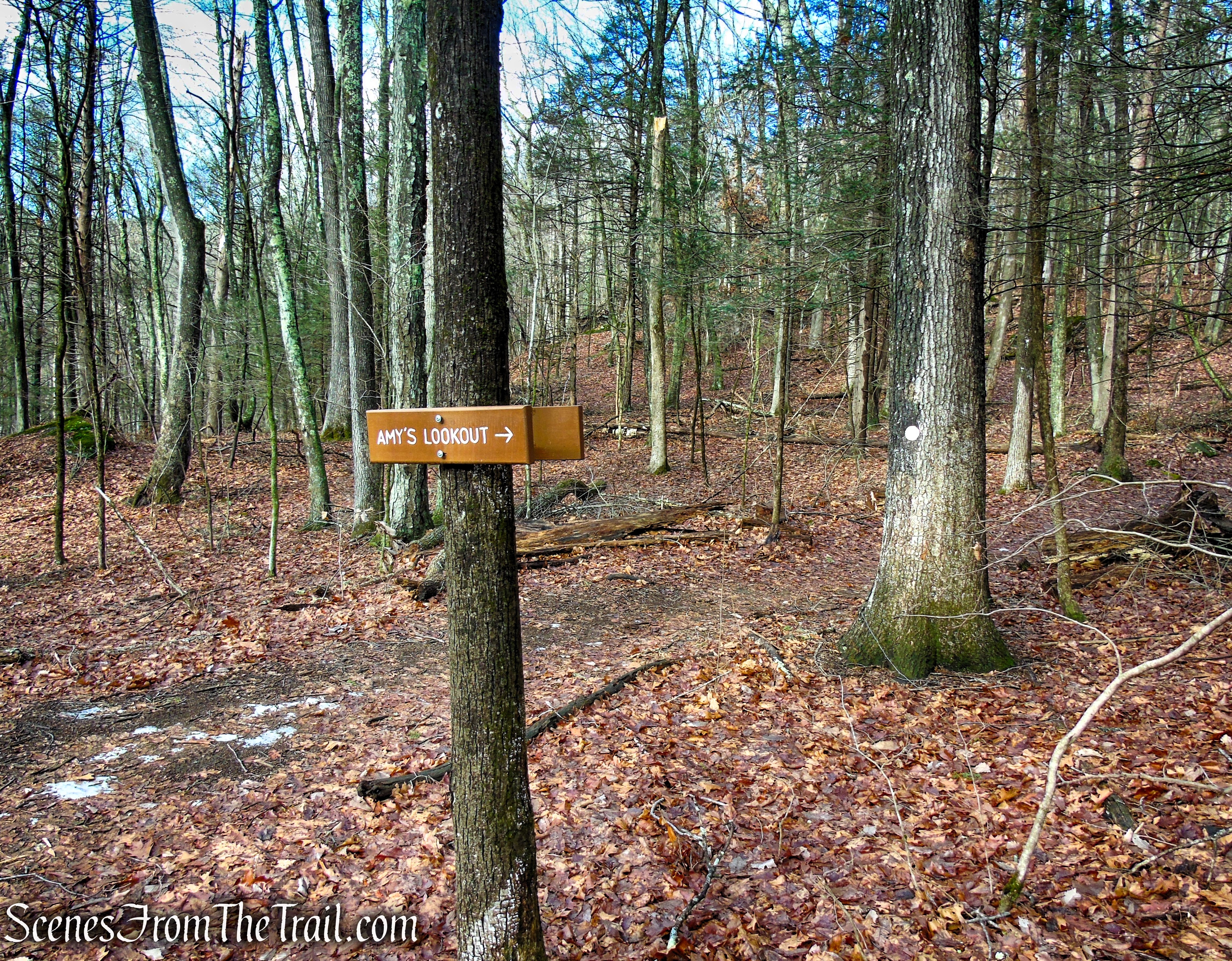 Turn right on White Trail