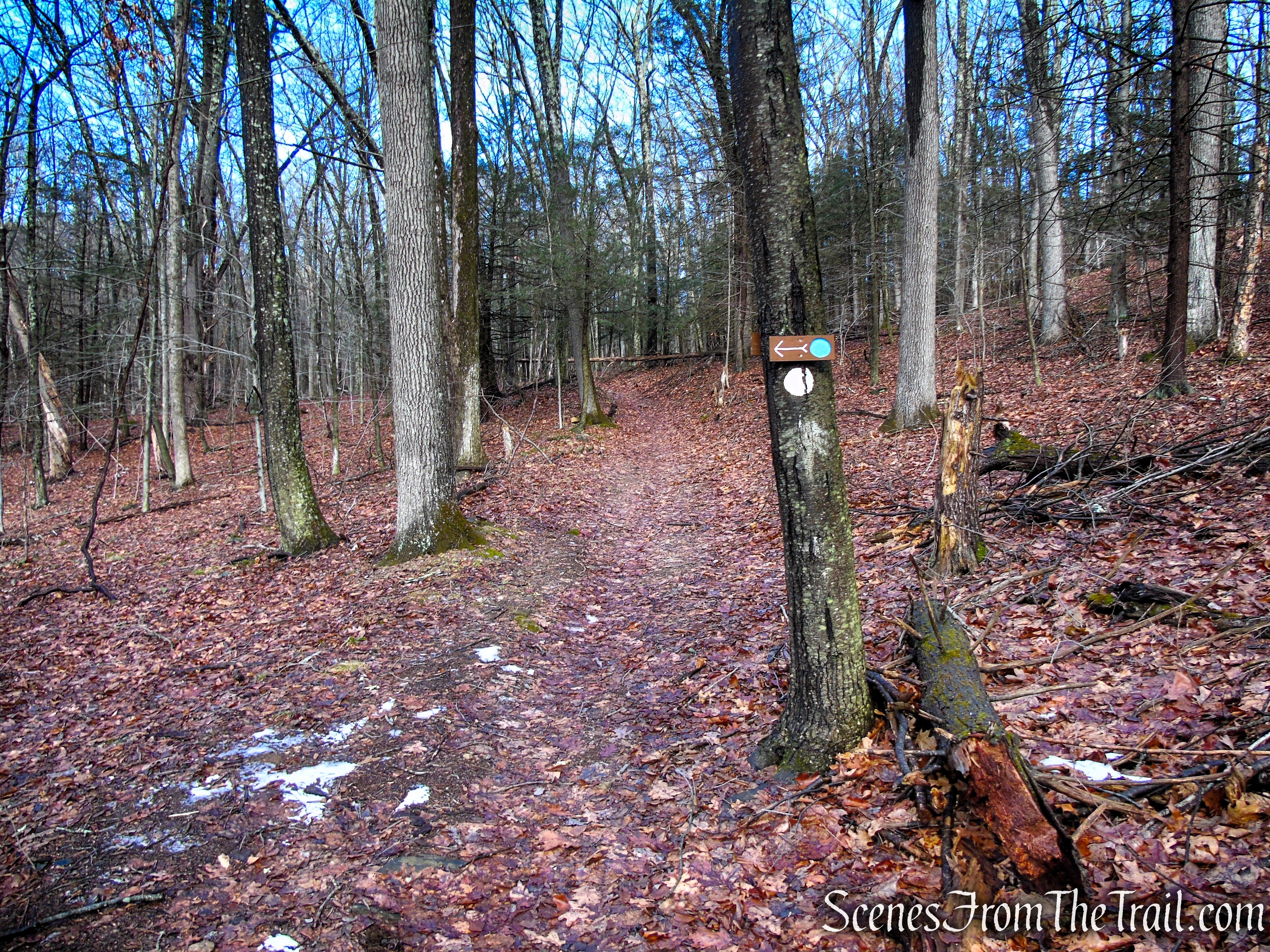 White Trail - Herrick Preserve
