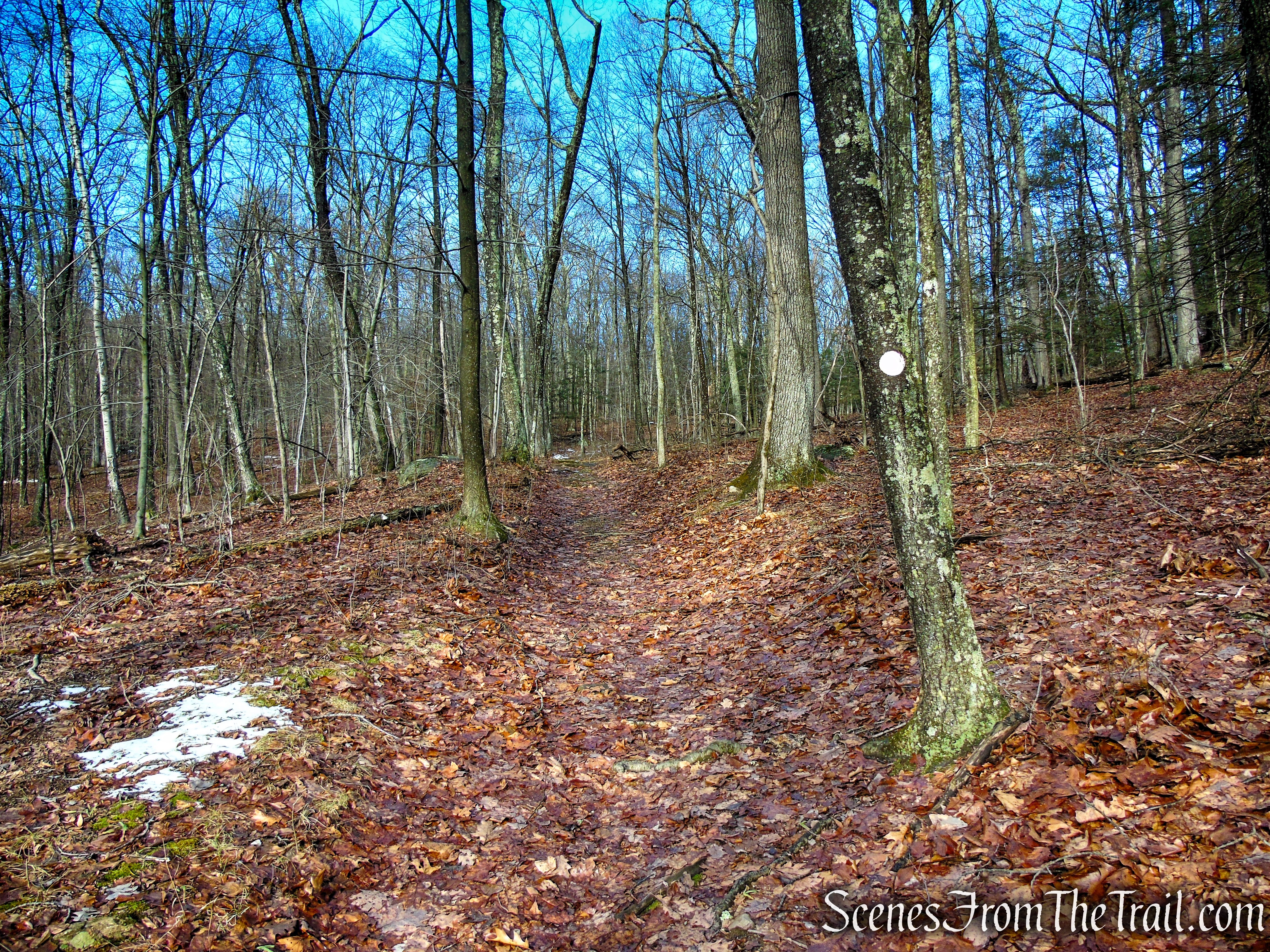 White Trail - Herrick Preserve