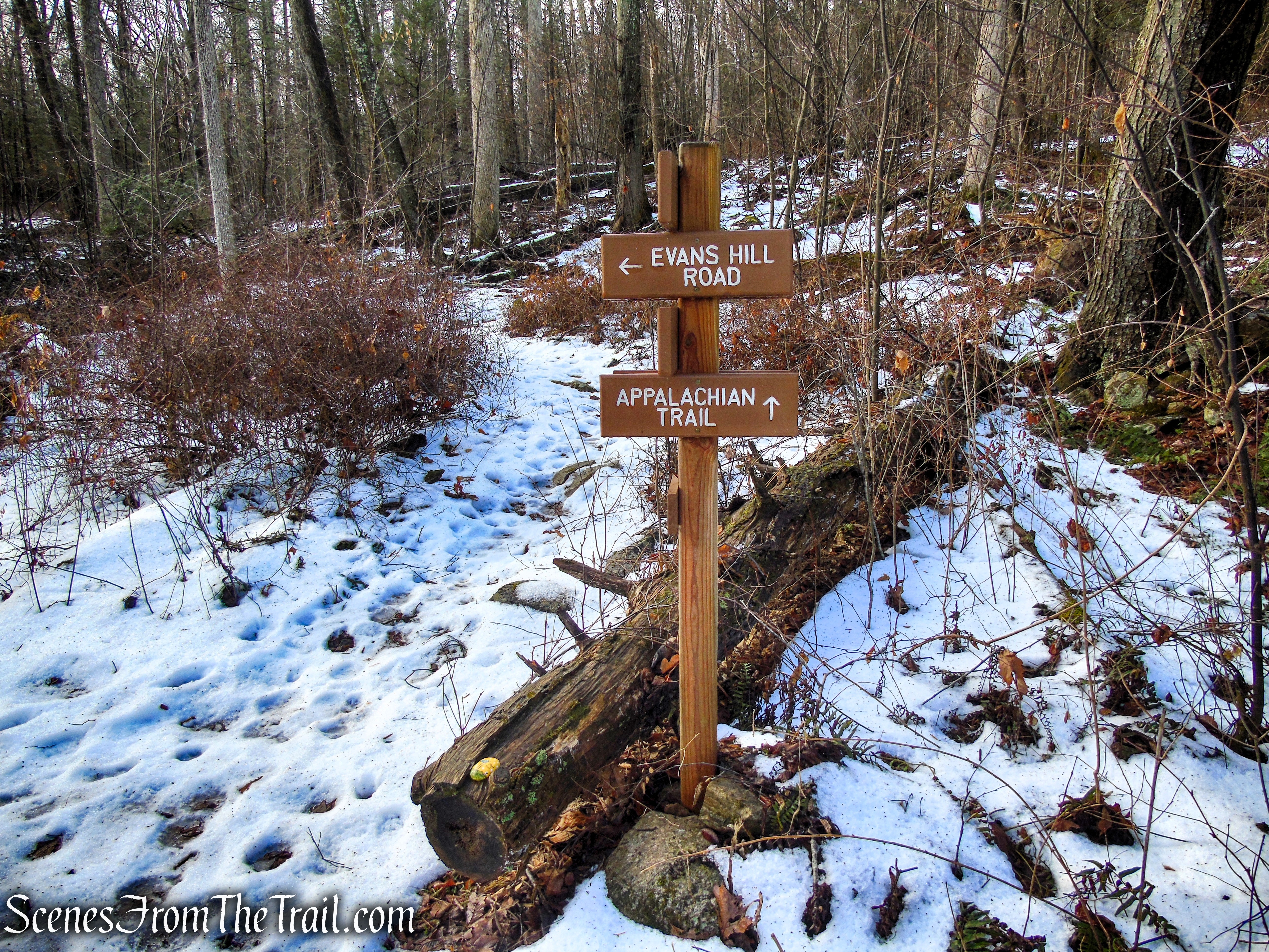 Blue Trail - Herrick Preserve