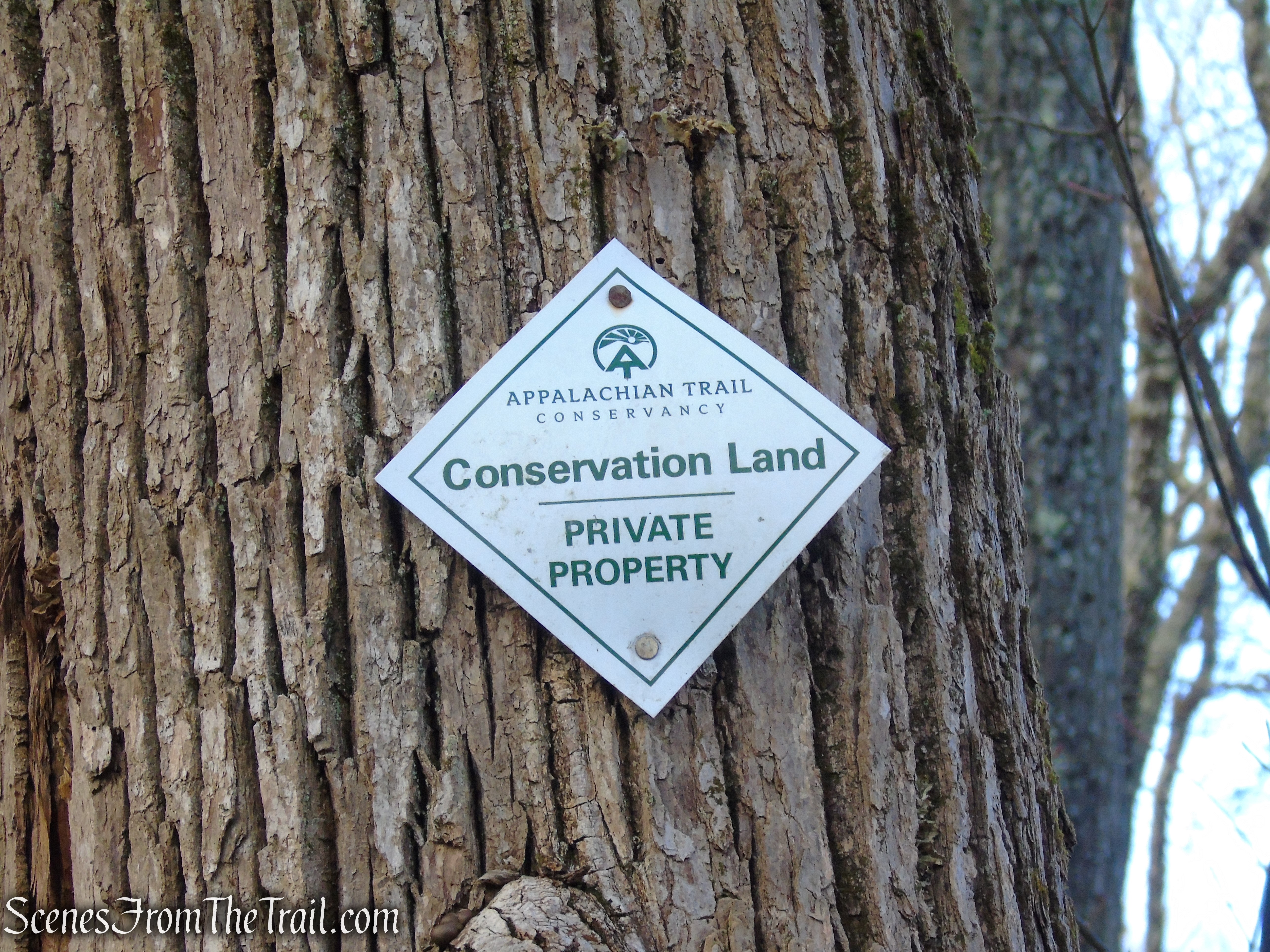 Blue Trail - Herrick Preserve