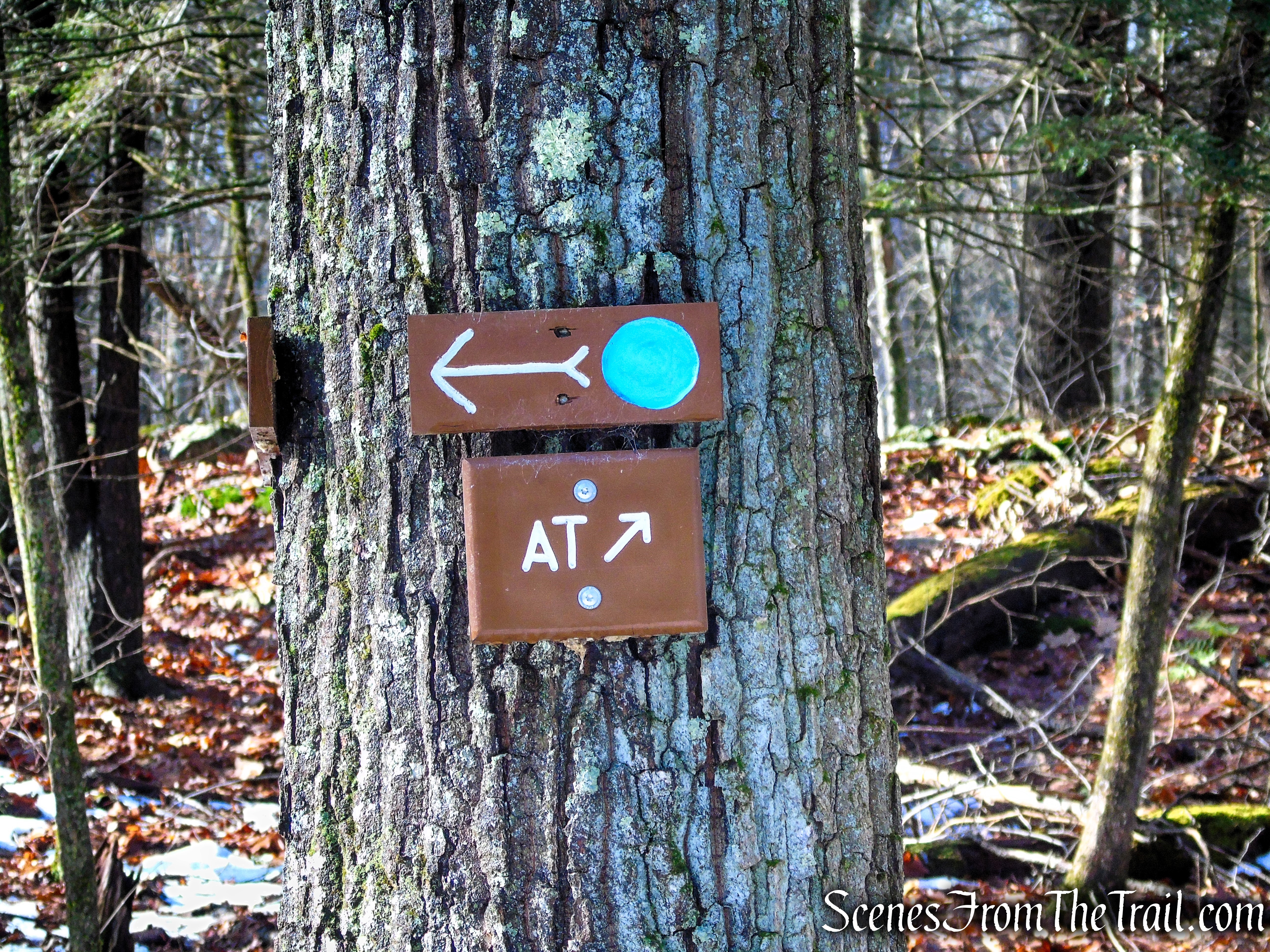 Blue Trail - Herrick Preserve