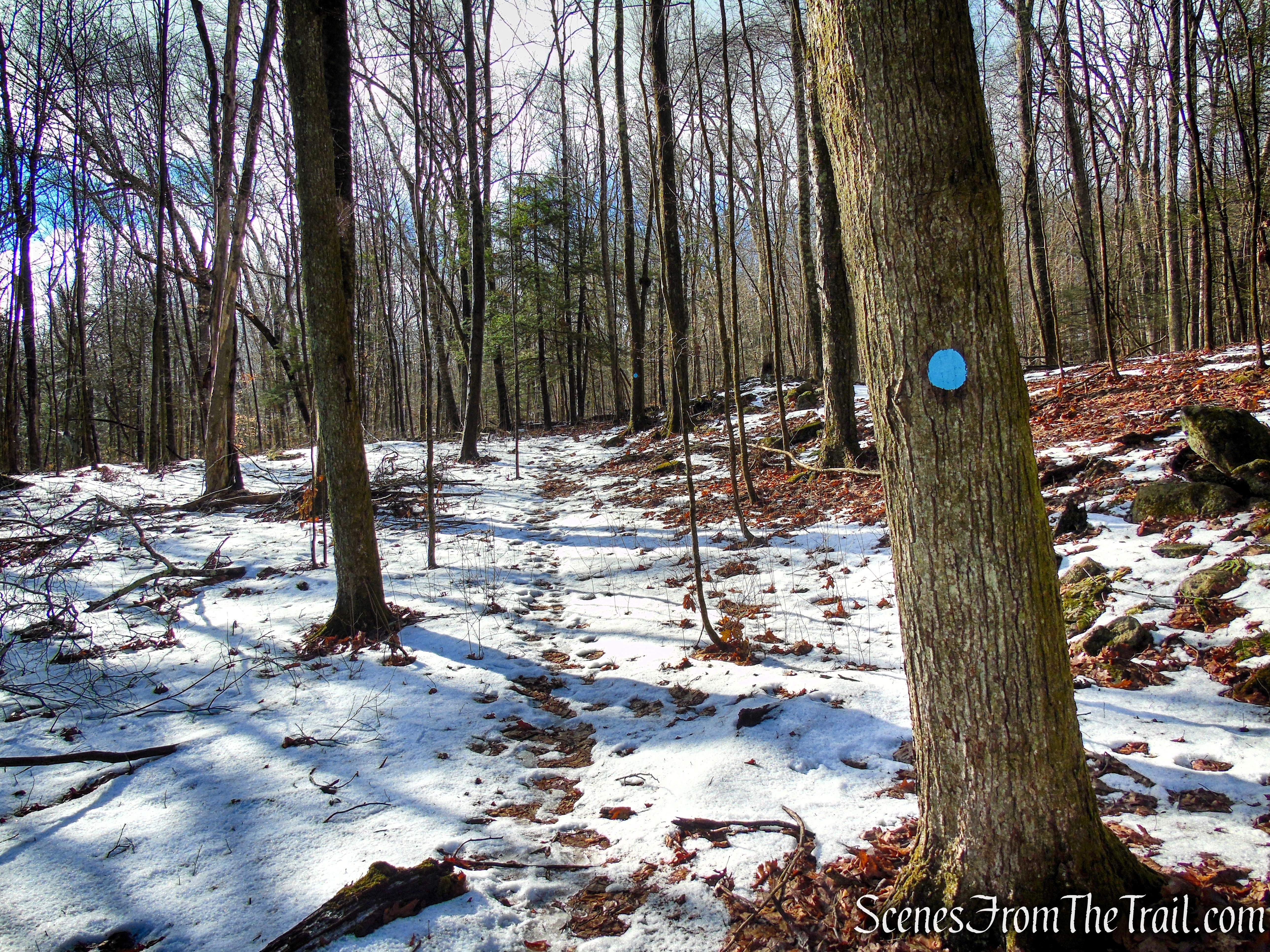 Blue Trail - Herrick Preserve