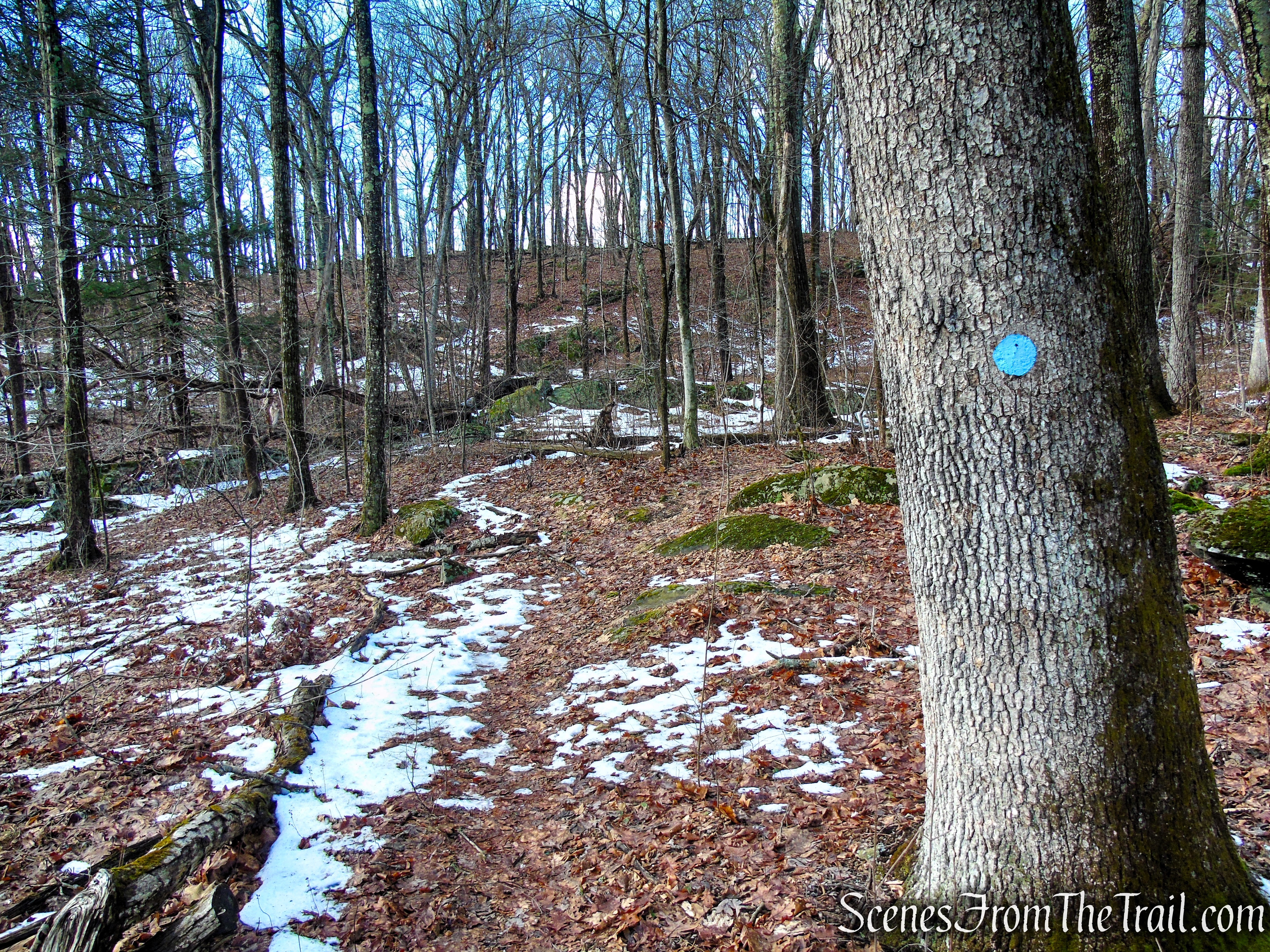 Blue Trail - Herrick Preserve