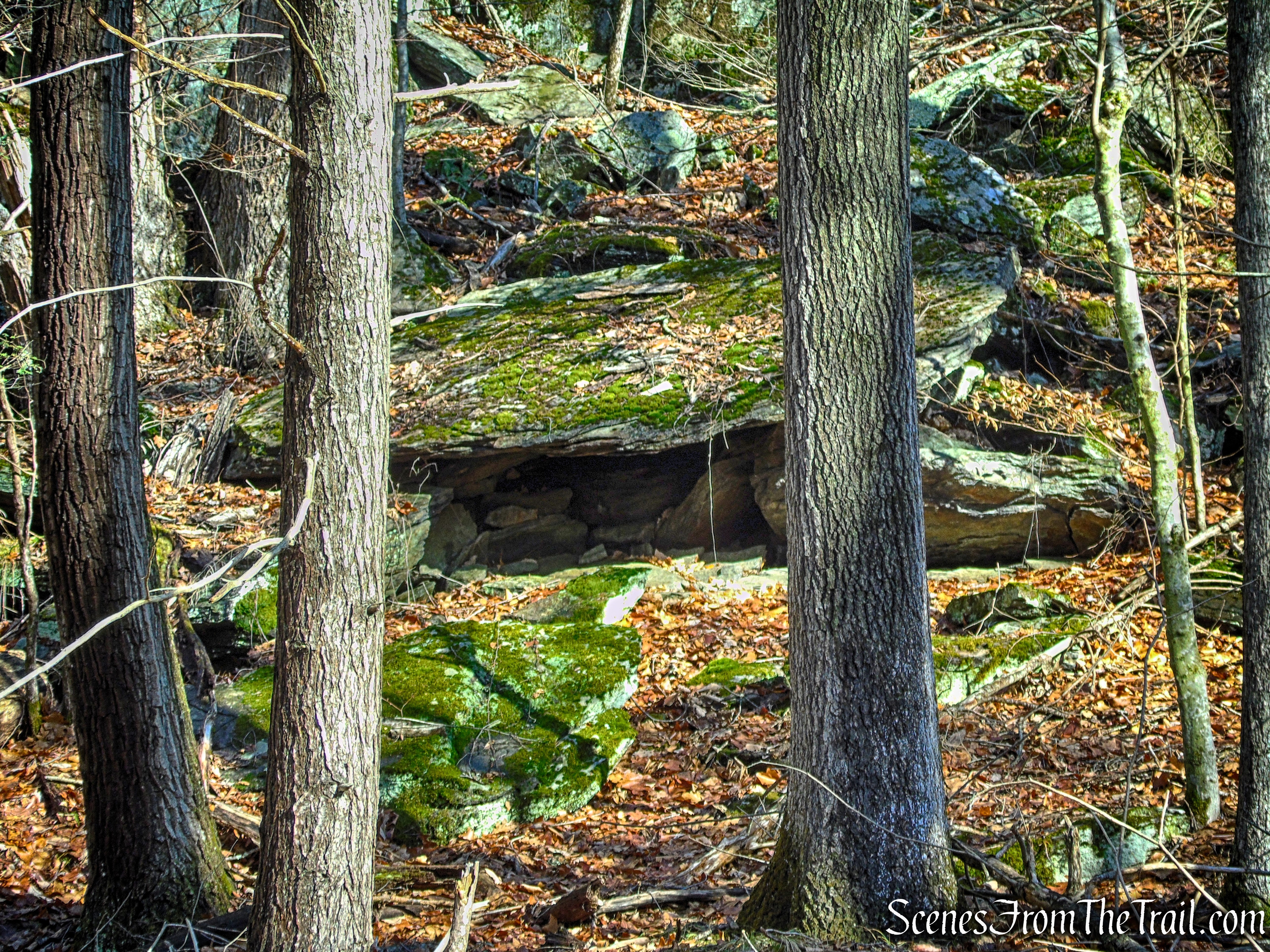White Trail - Herrick Preserve