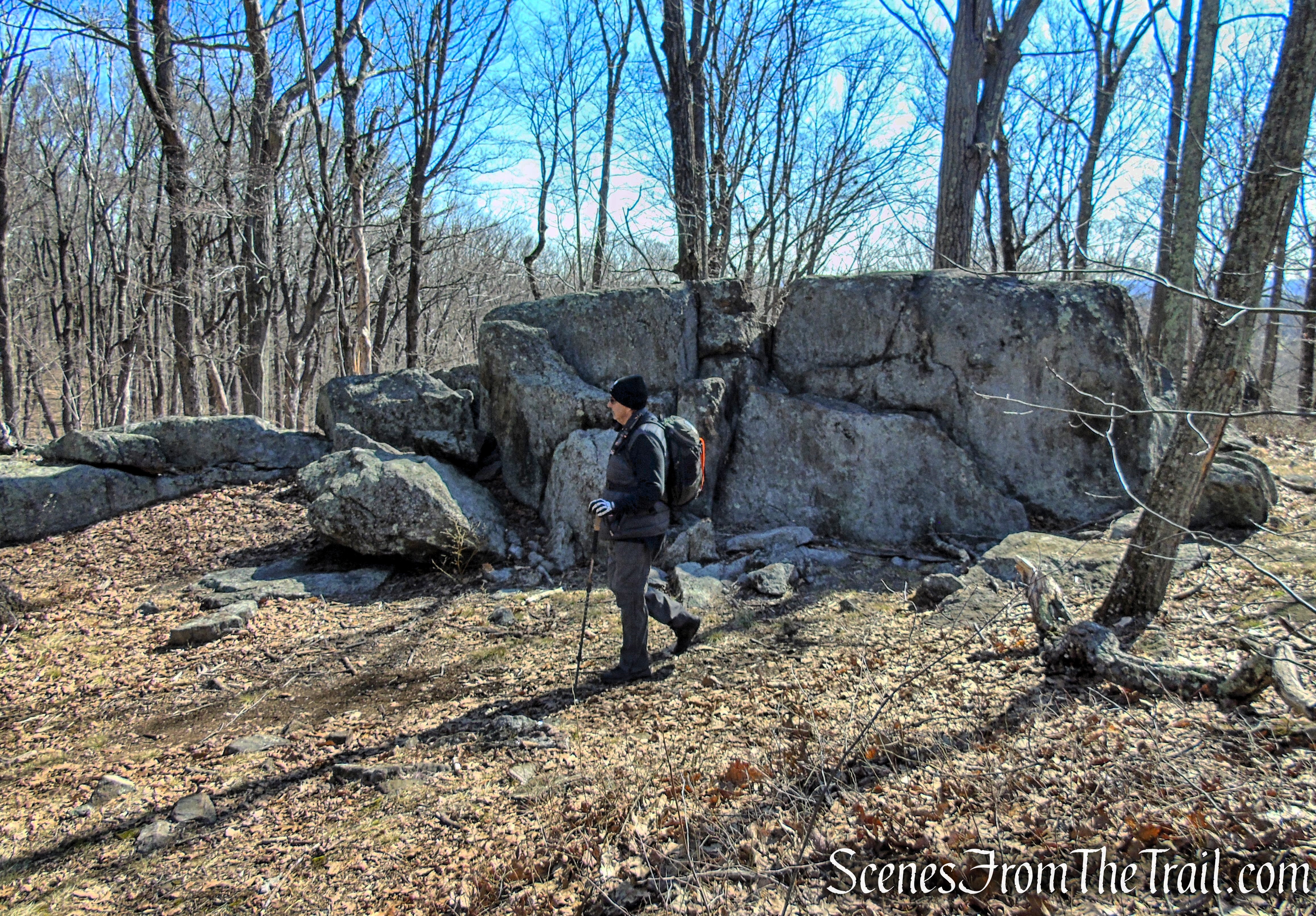 Turkey Mountain Nature Preserve Loop