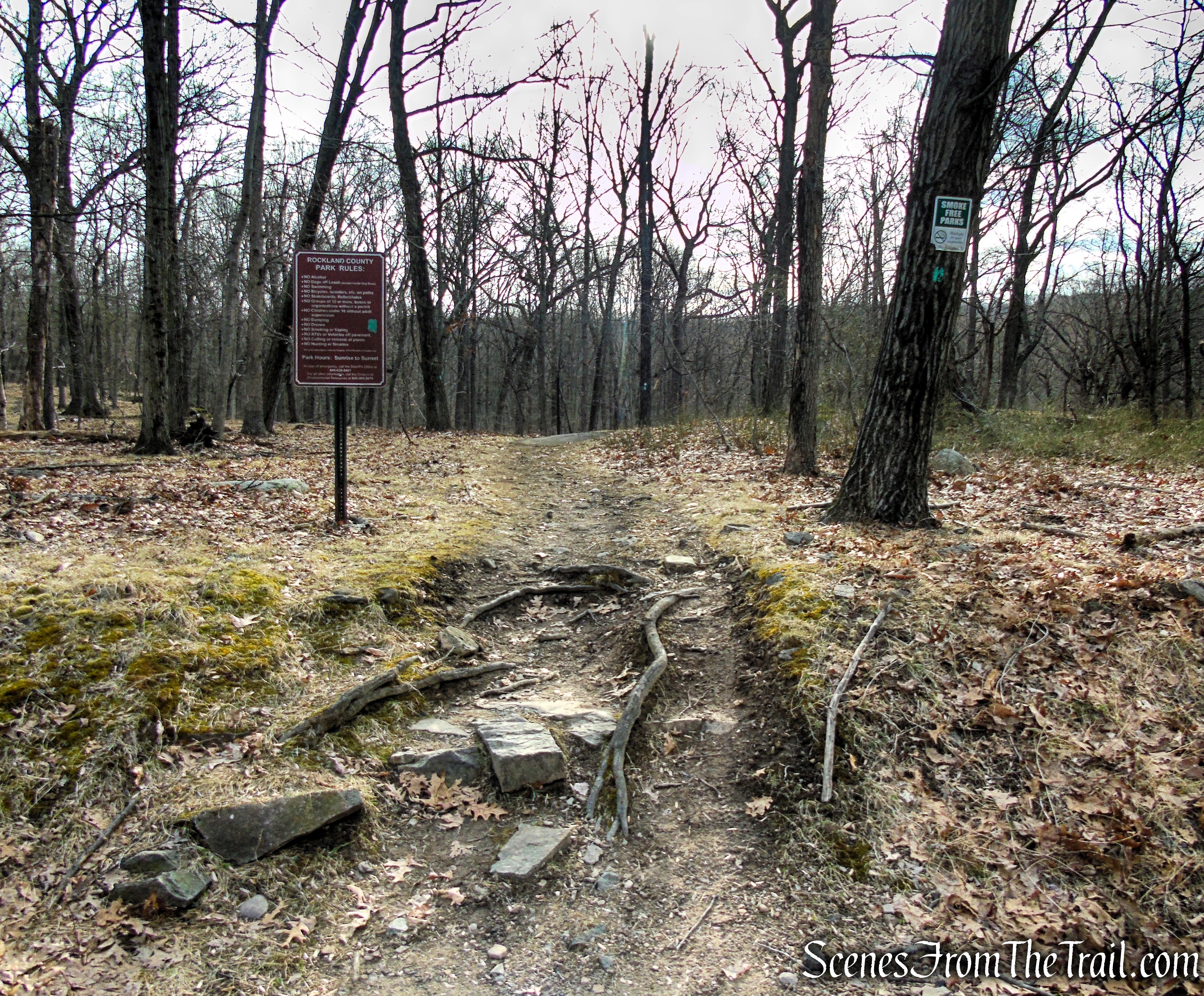 Long Path - Clausland Mountain Park