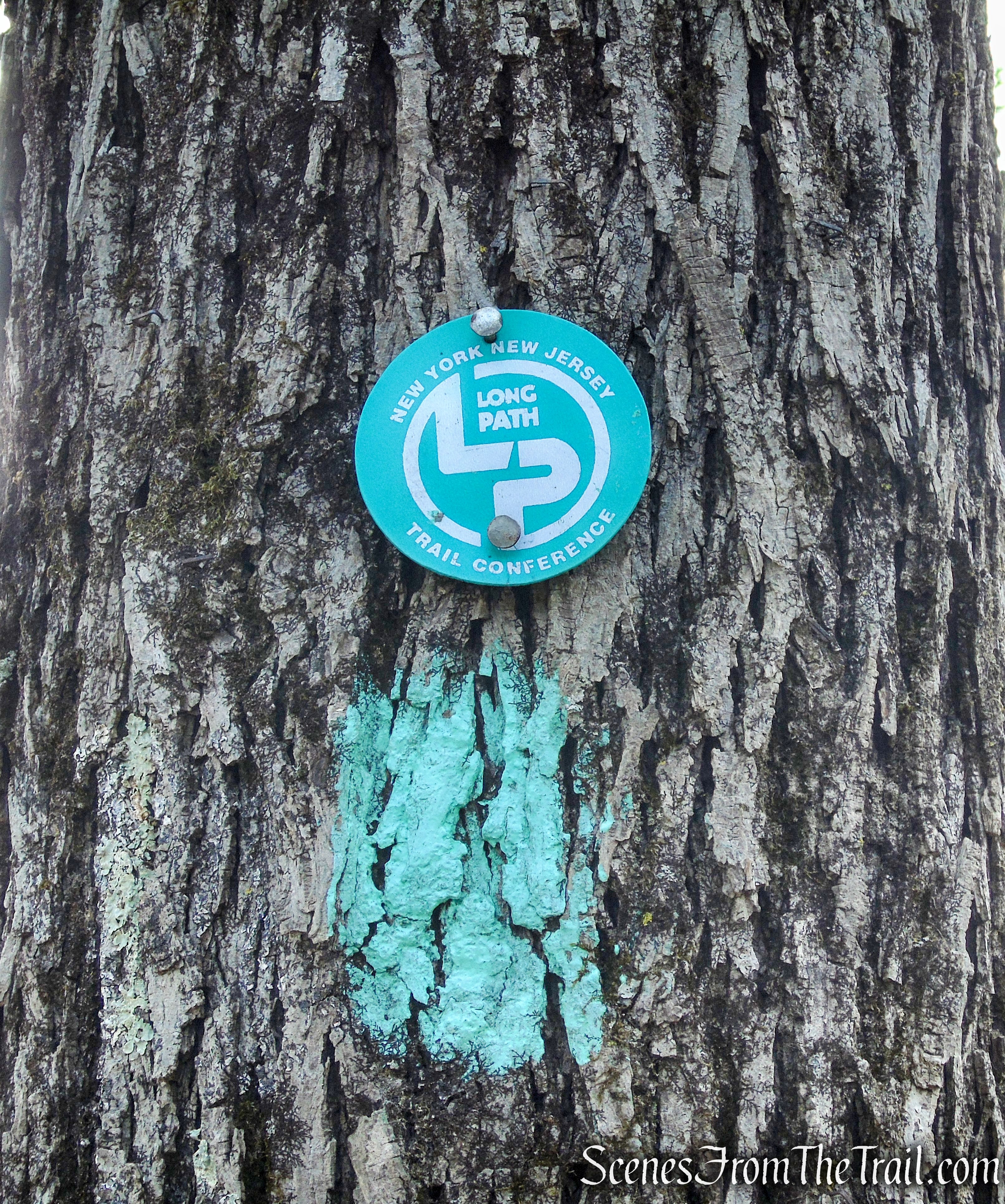 Long Path - Clausland Mountain Park