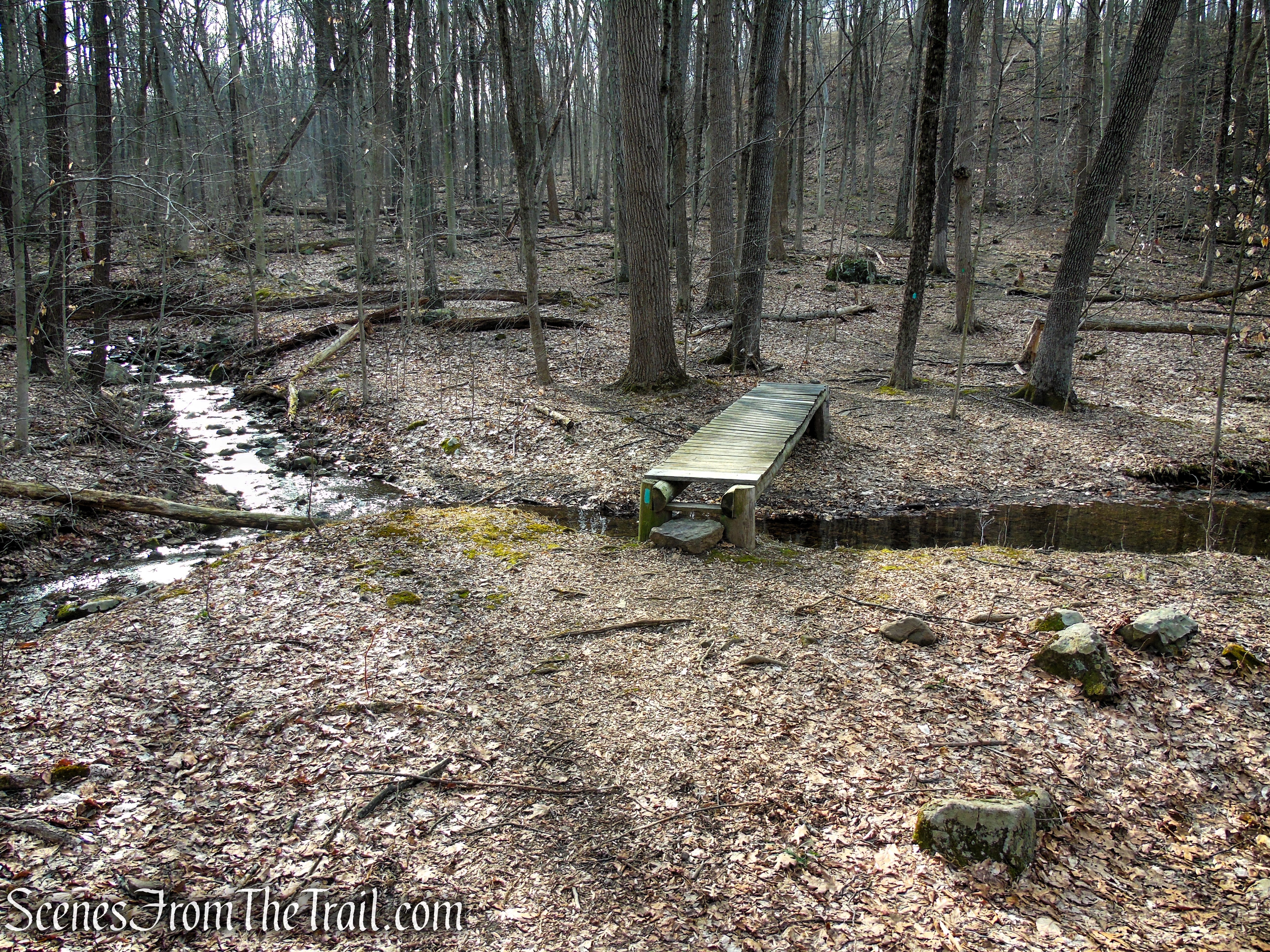 Long Path - Clausland Mountain Park
