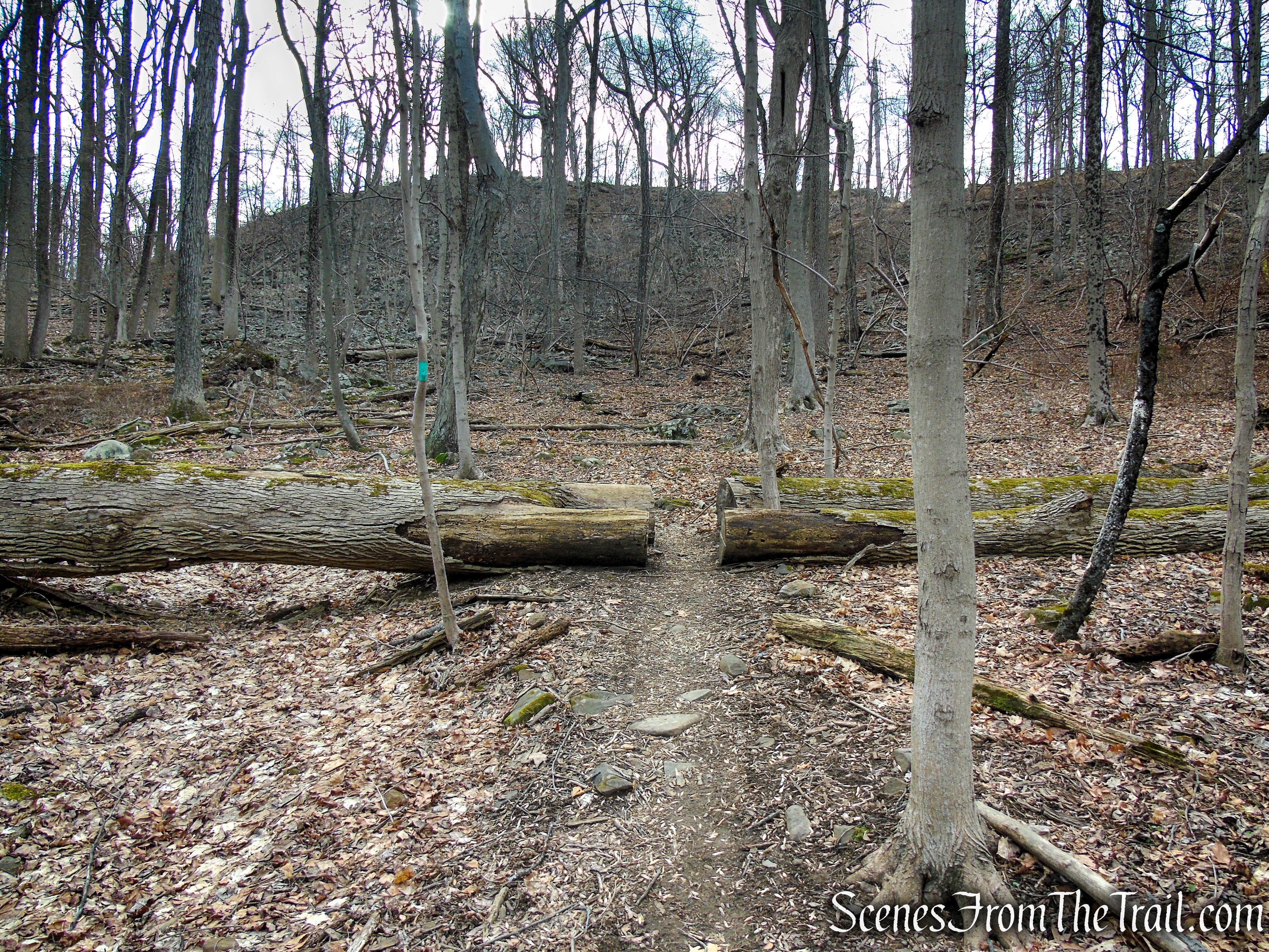 Long Path - Clausland Mountain Park