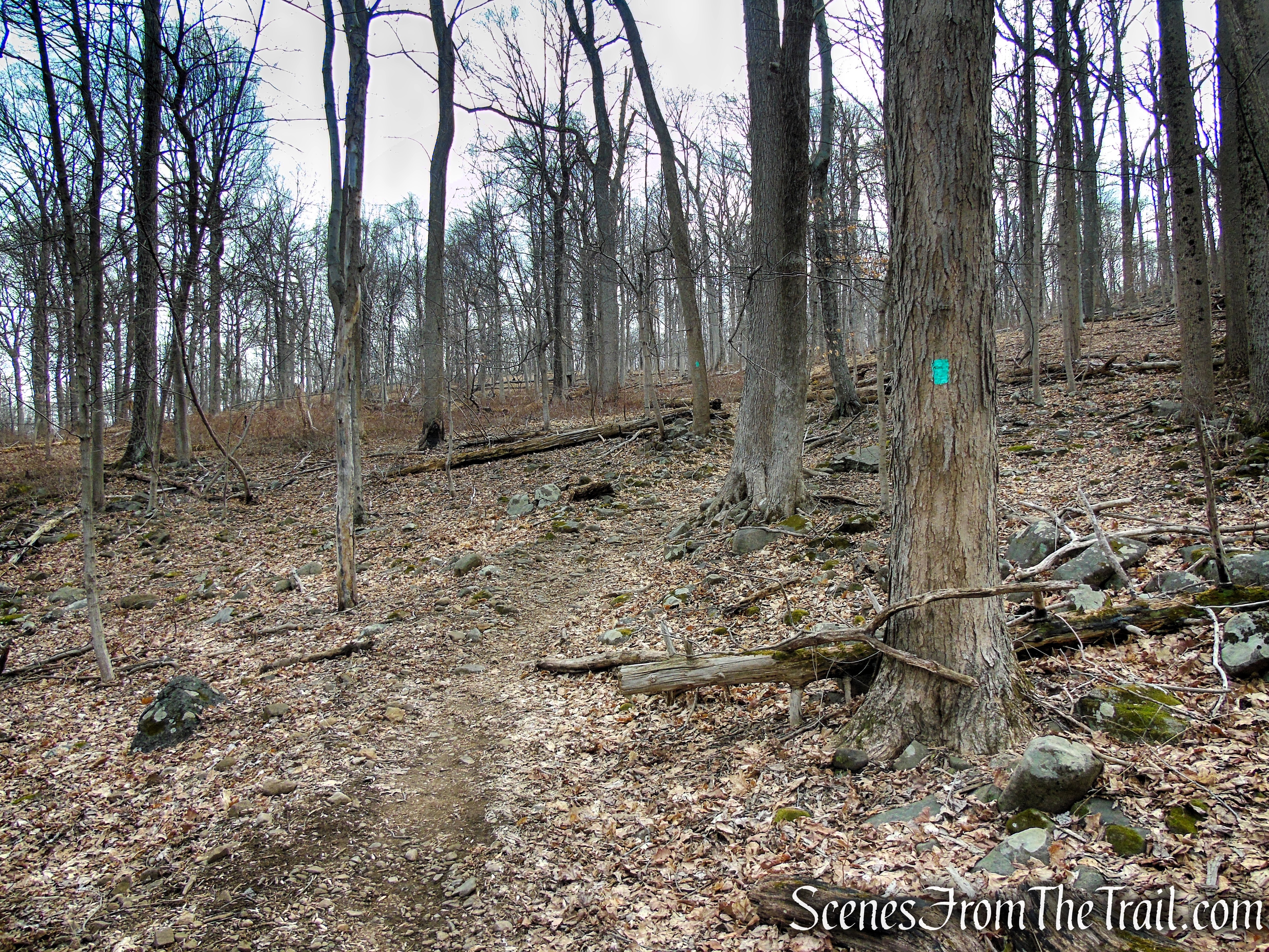 Long Path - Clausland Mountain Park