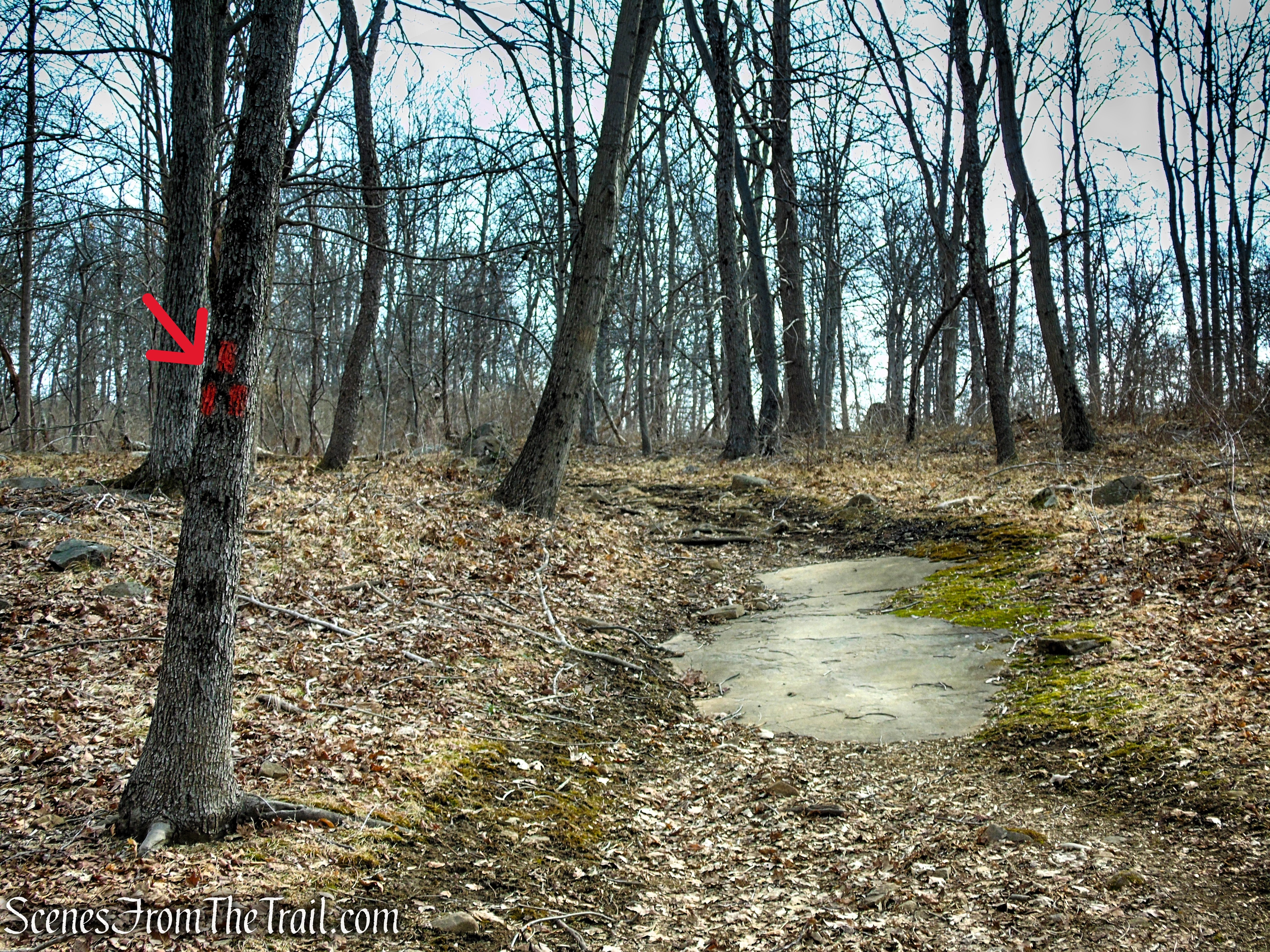 Orange Trail - Clausland Mountain Park
