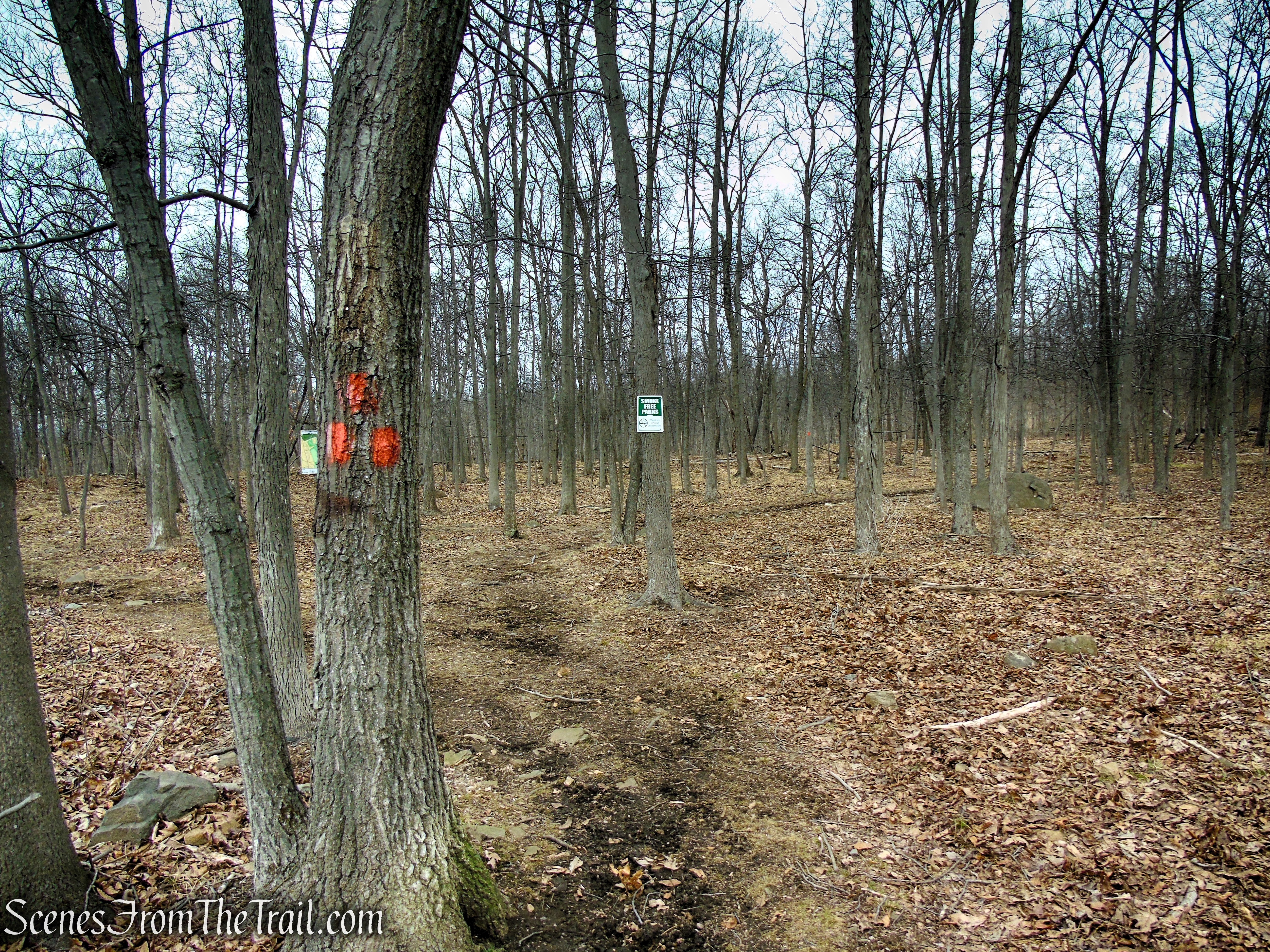 Orange Trail - Clausland Mountain Park