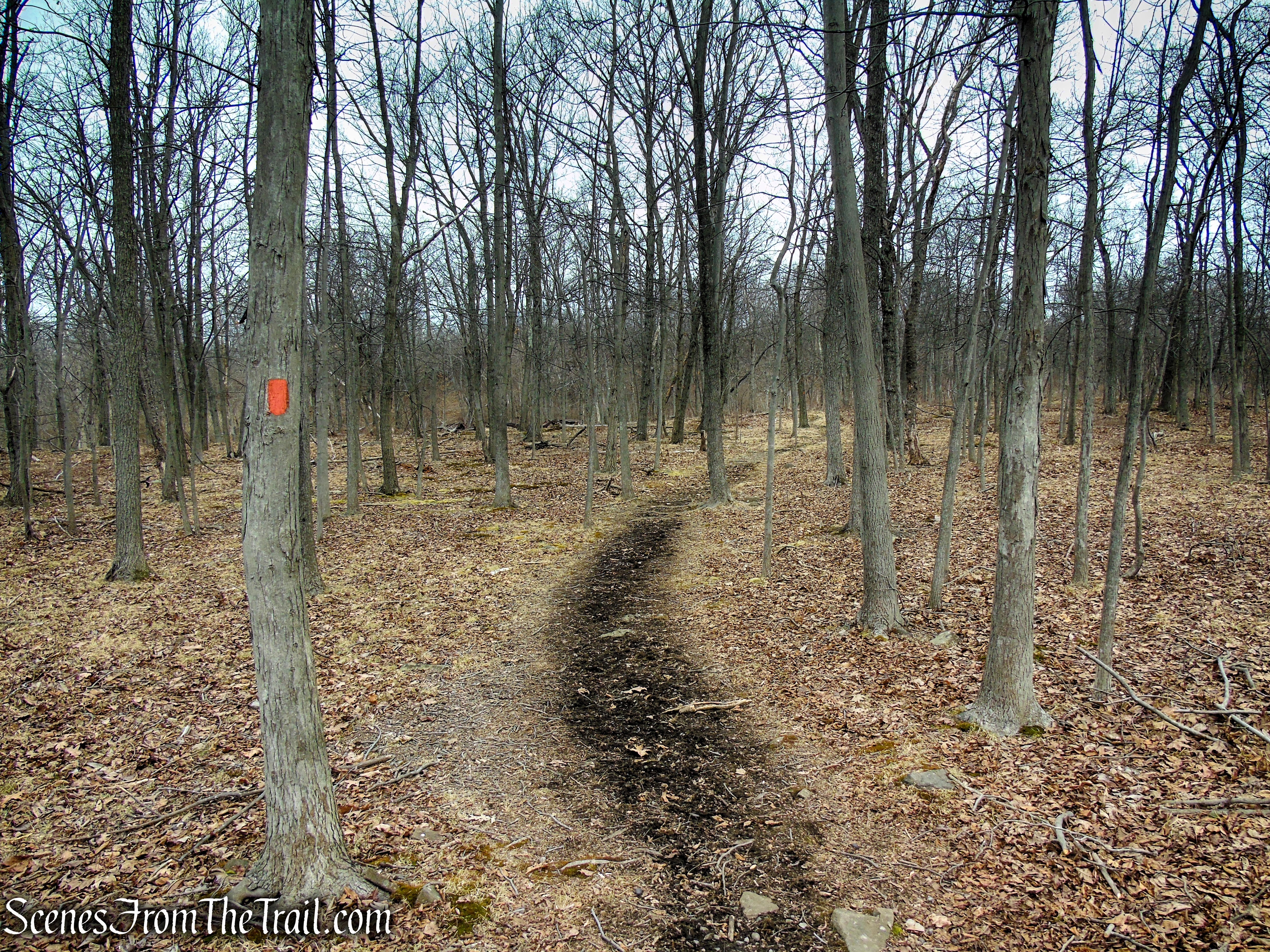 Orange Trail - Clausland Mountain Park