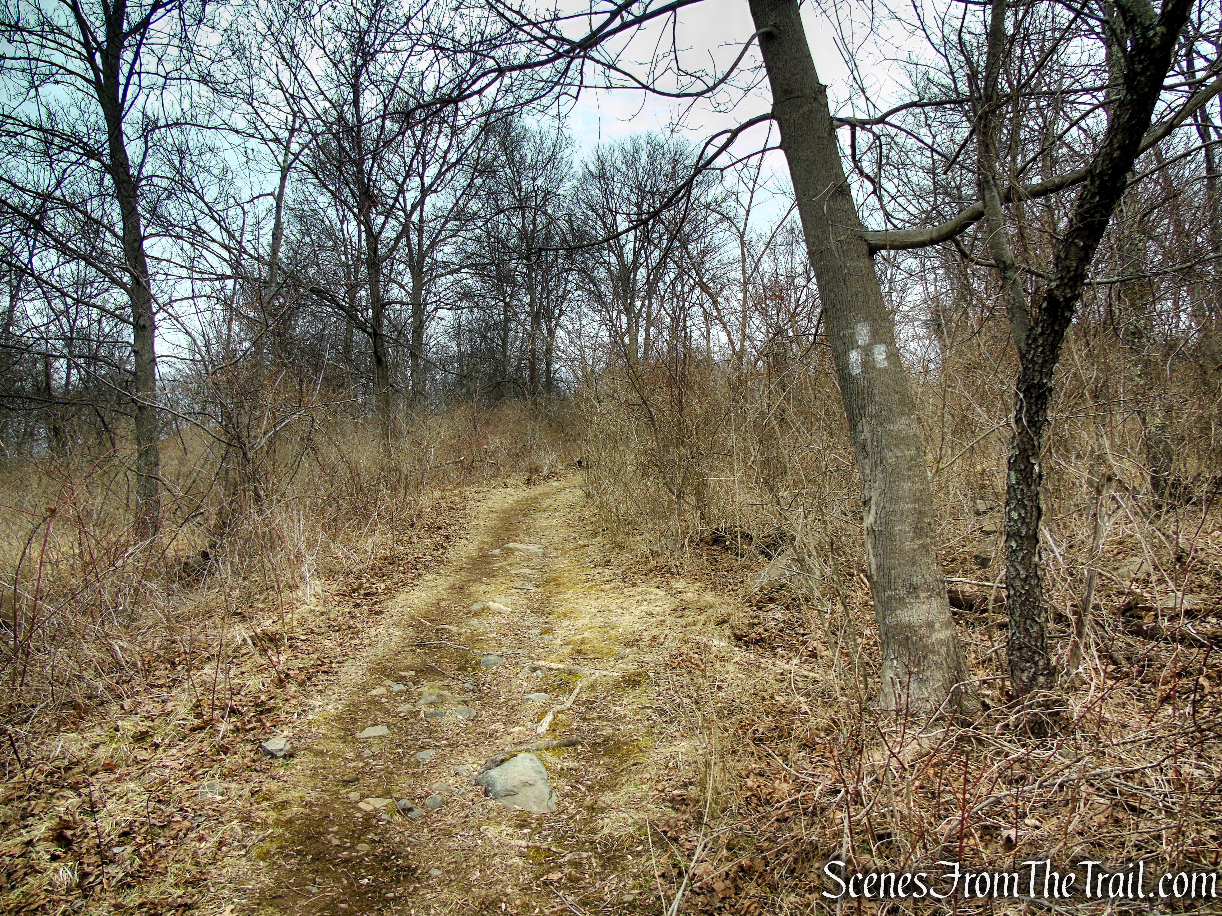 White Trail - Clausland Mountain Park