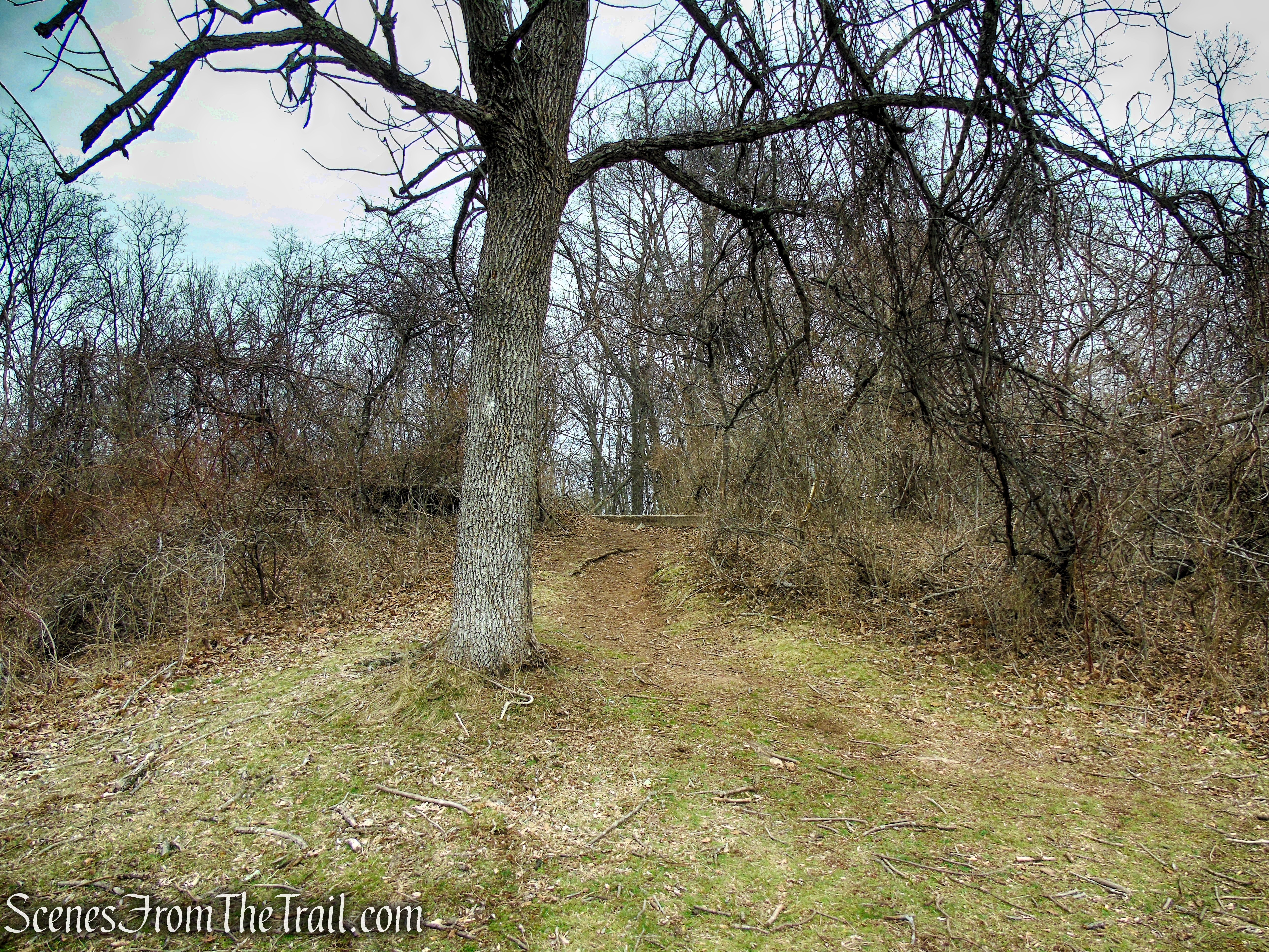 White Trail - Clausland Mountain Park