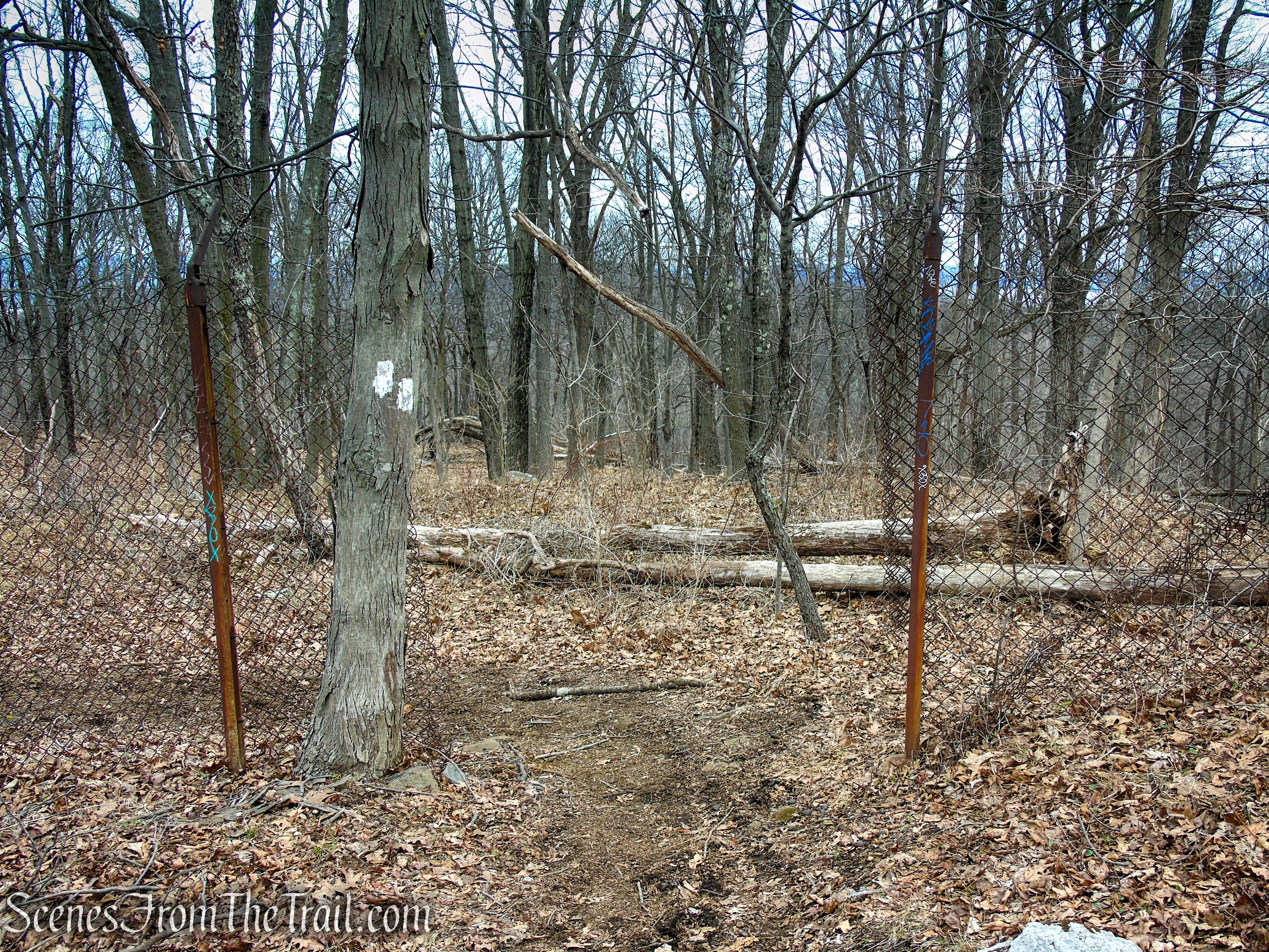 White Trail - Clausland Mountain Park