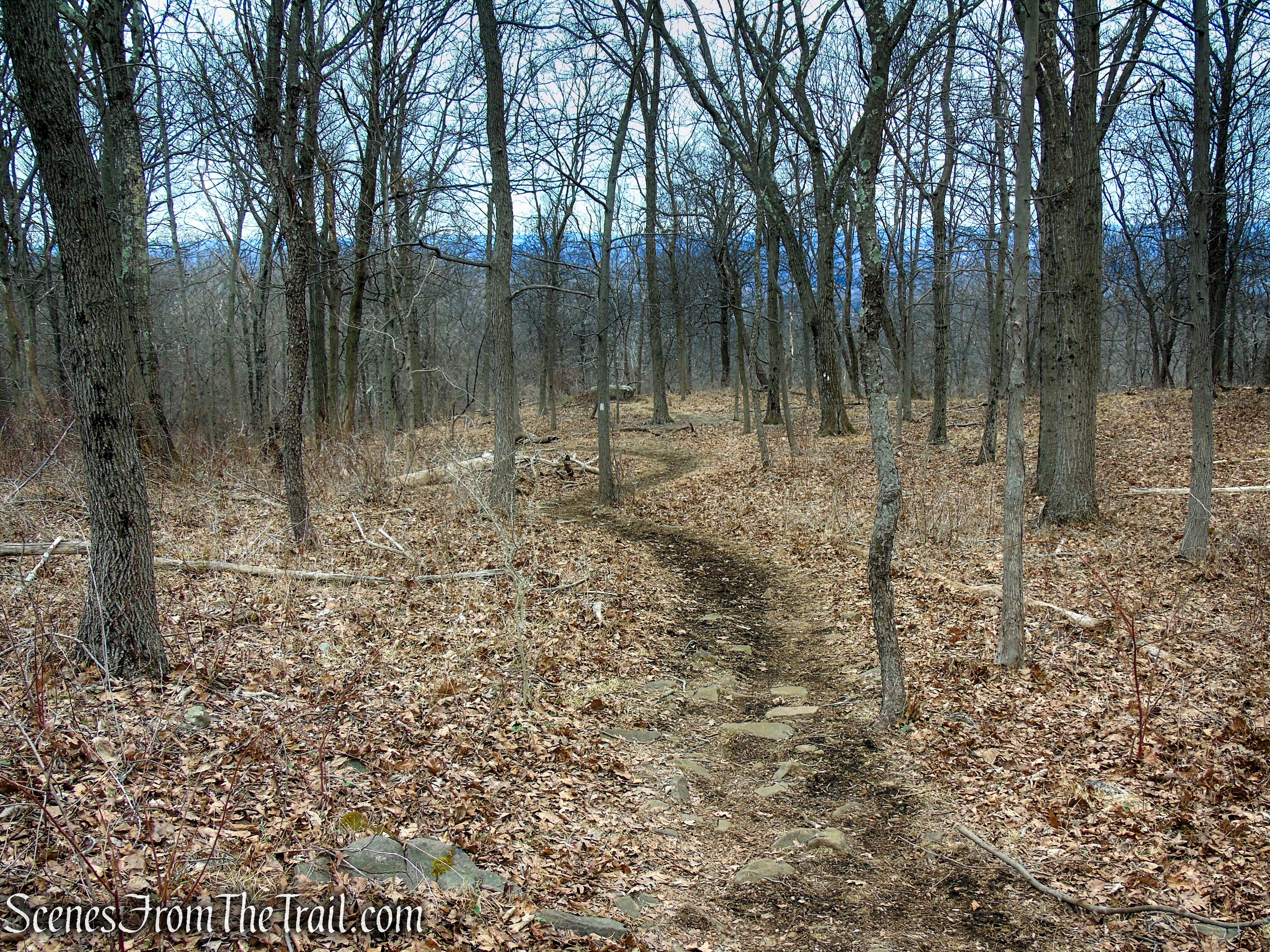 White Trail - Clausland Mountain Park