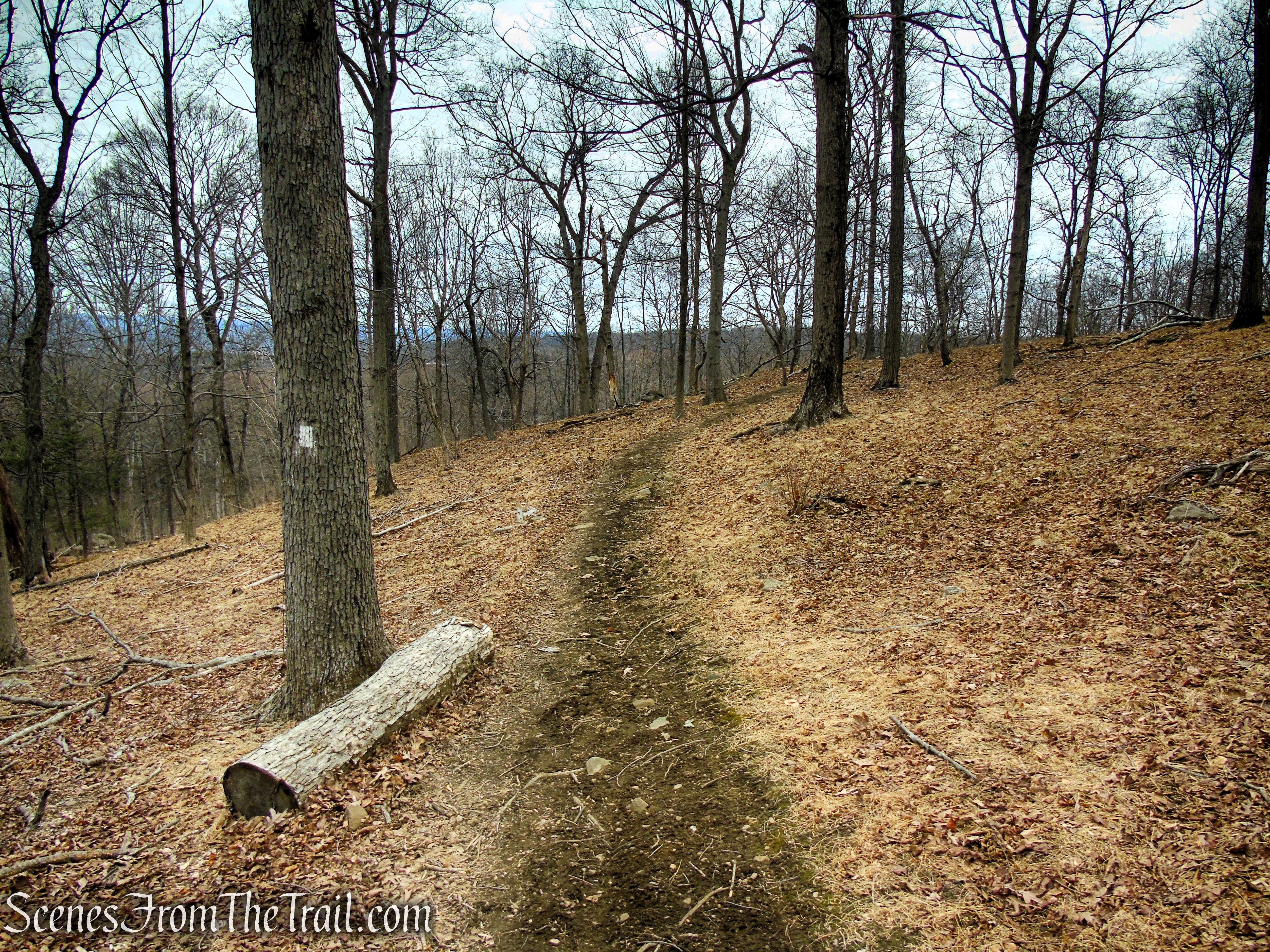 White Trail - Clausland Mountain Park