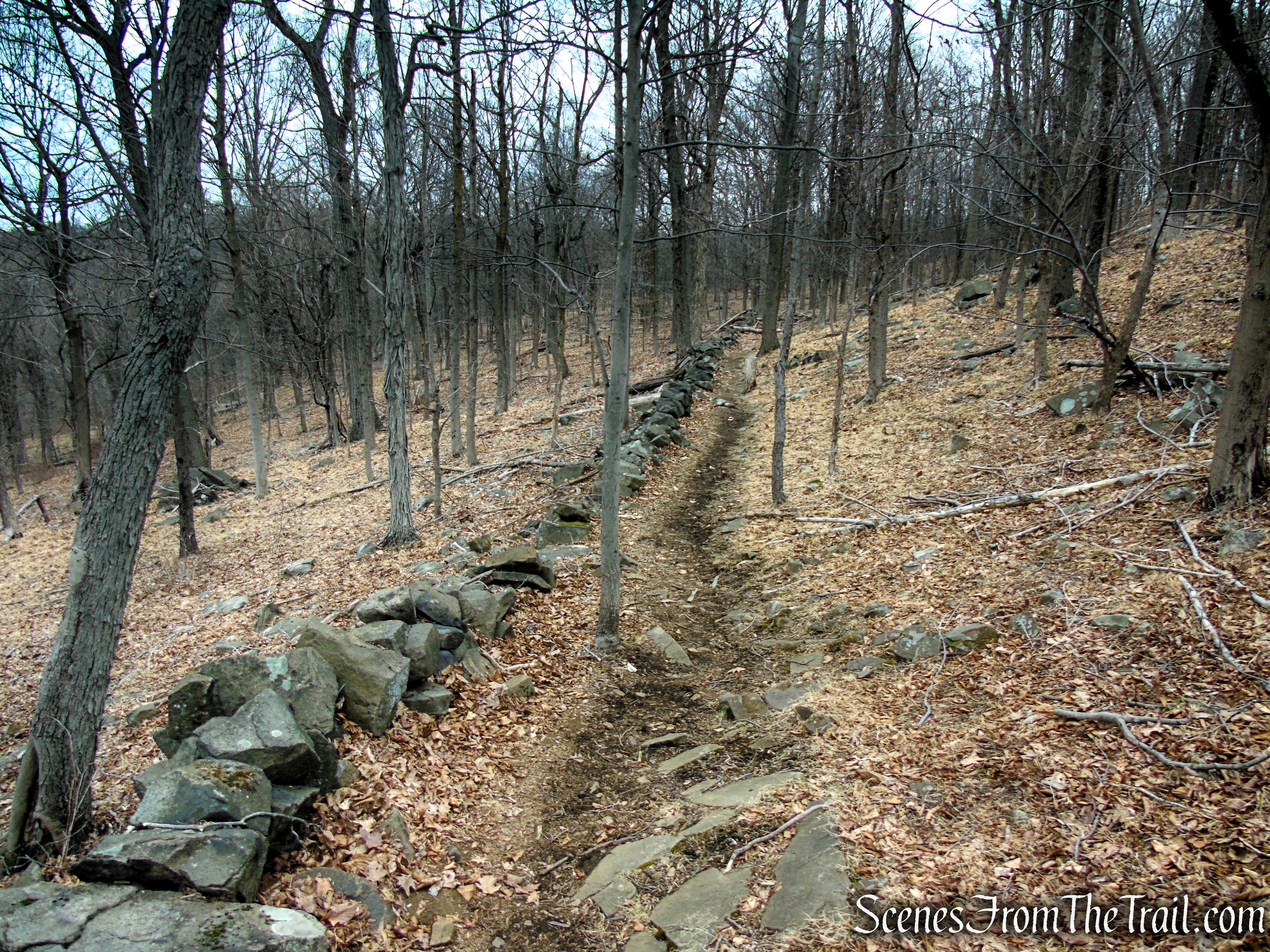 White Trail - Clausland Mountain Park