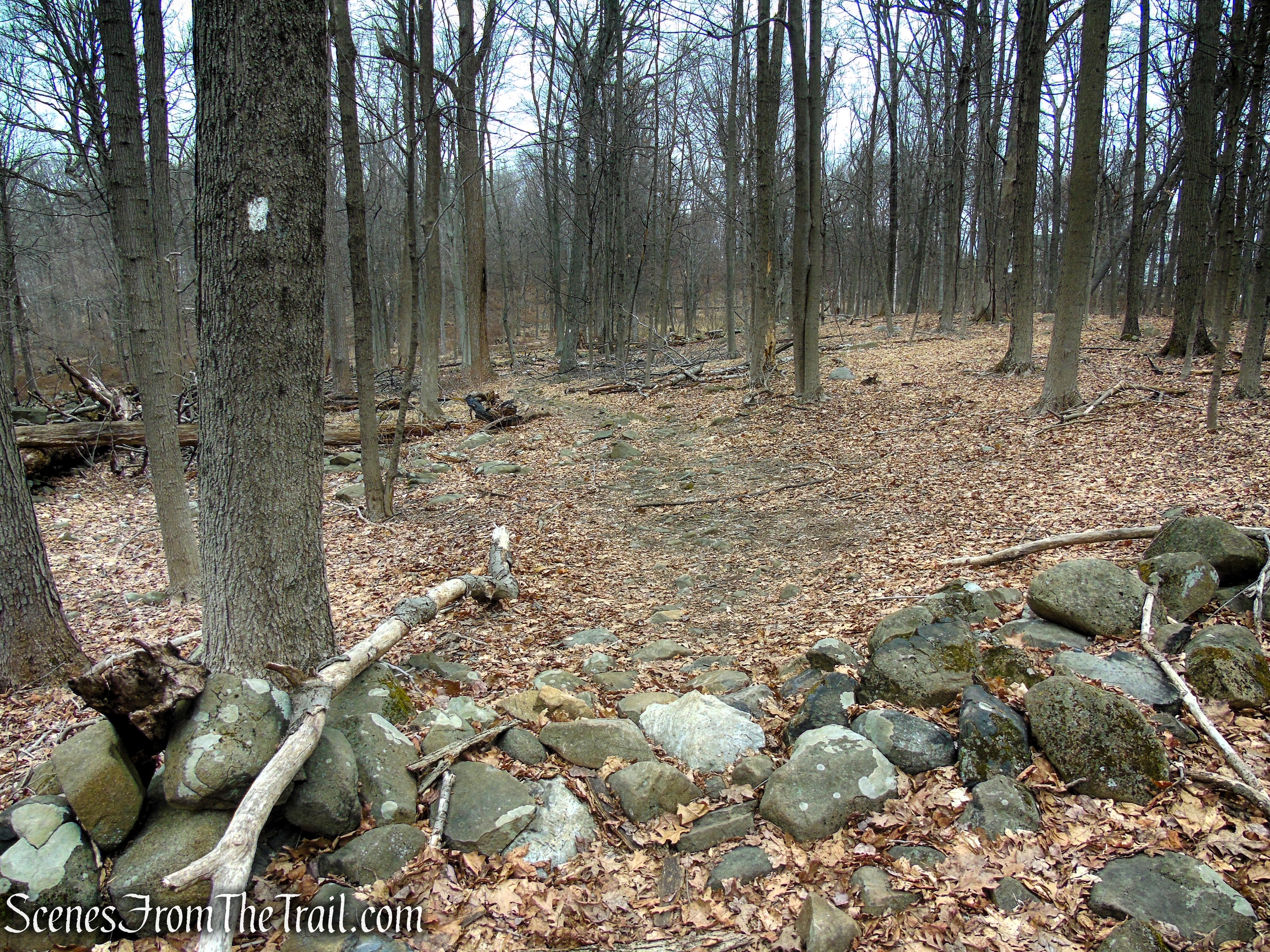 White Trail - Clausland Mountain Park