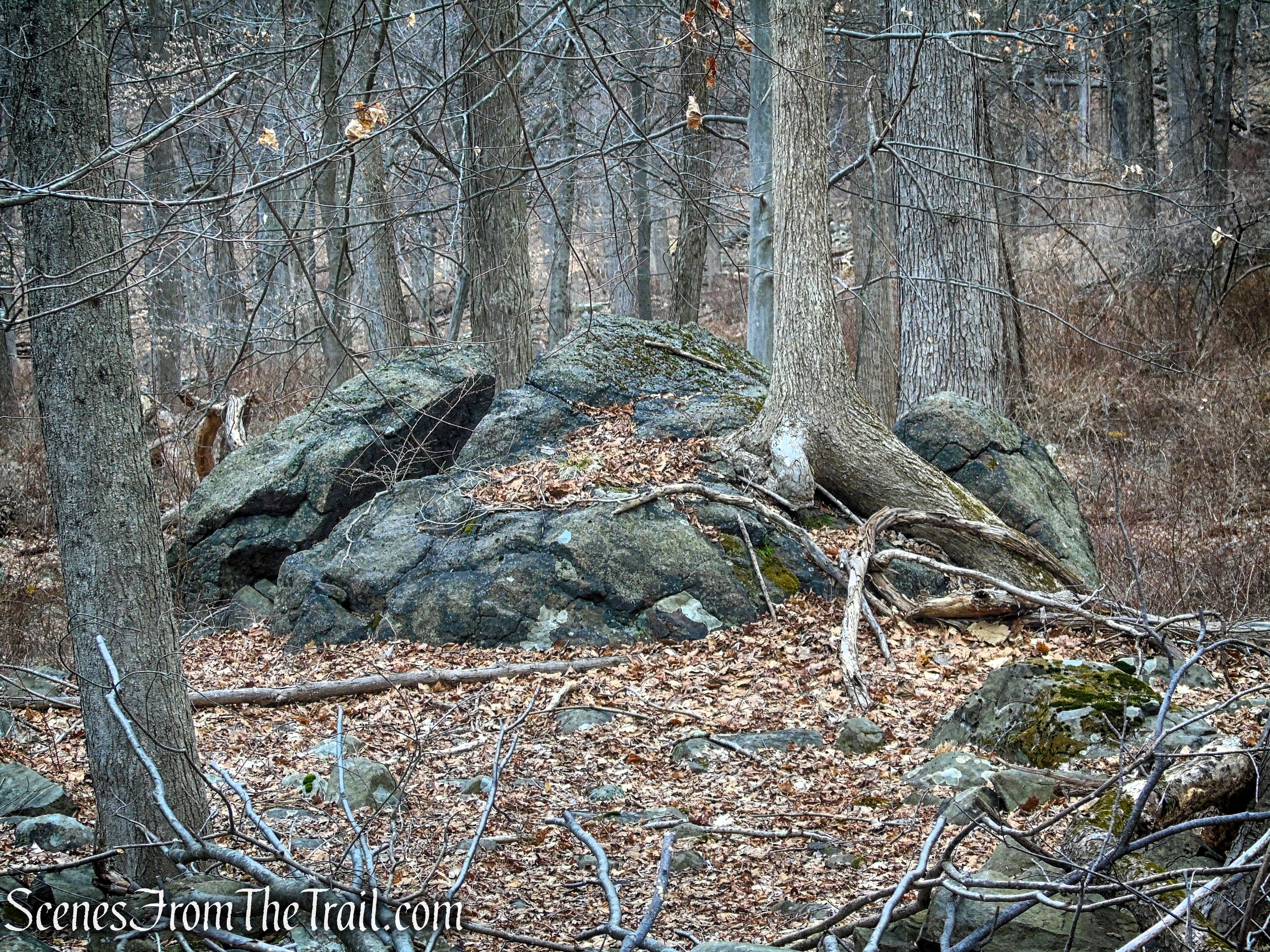 White Trail - Clausland Mountain Park