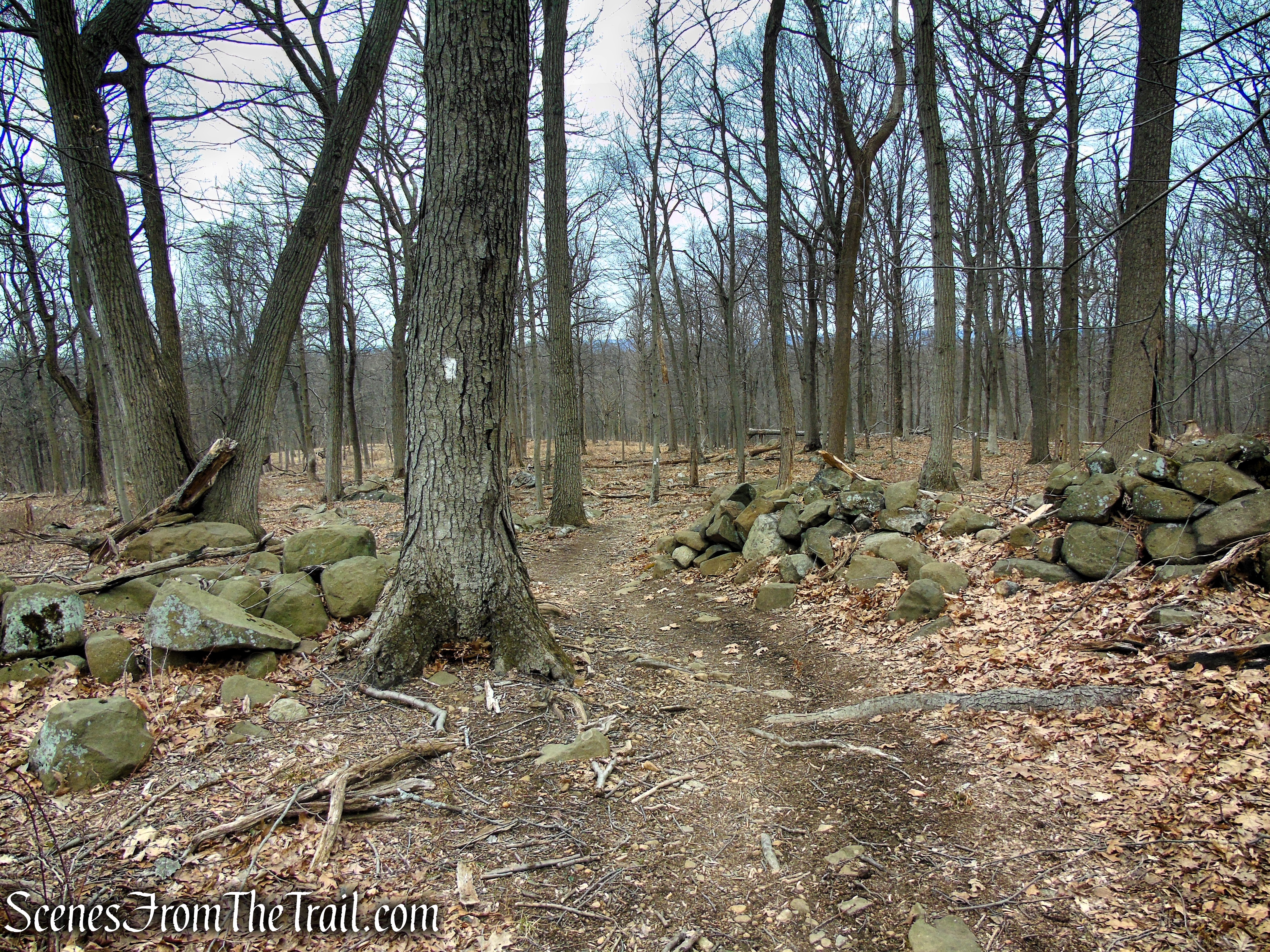 White Trail - Clausland Mountain Park