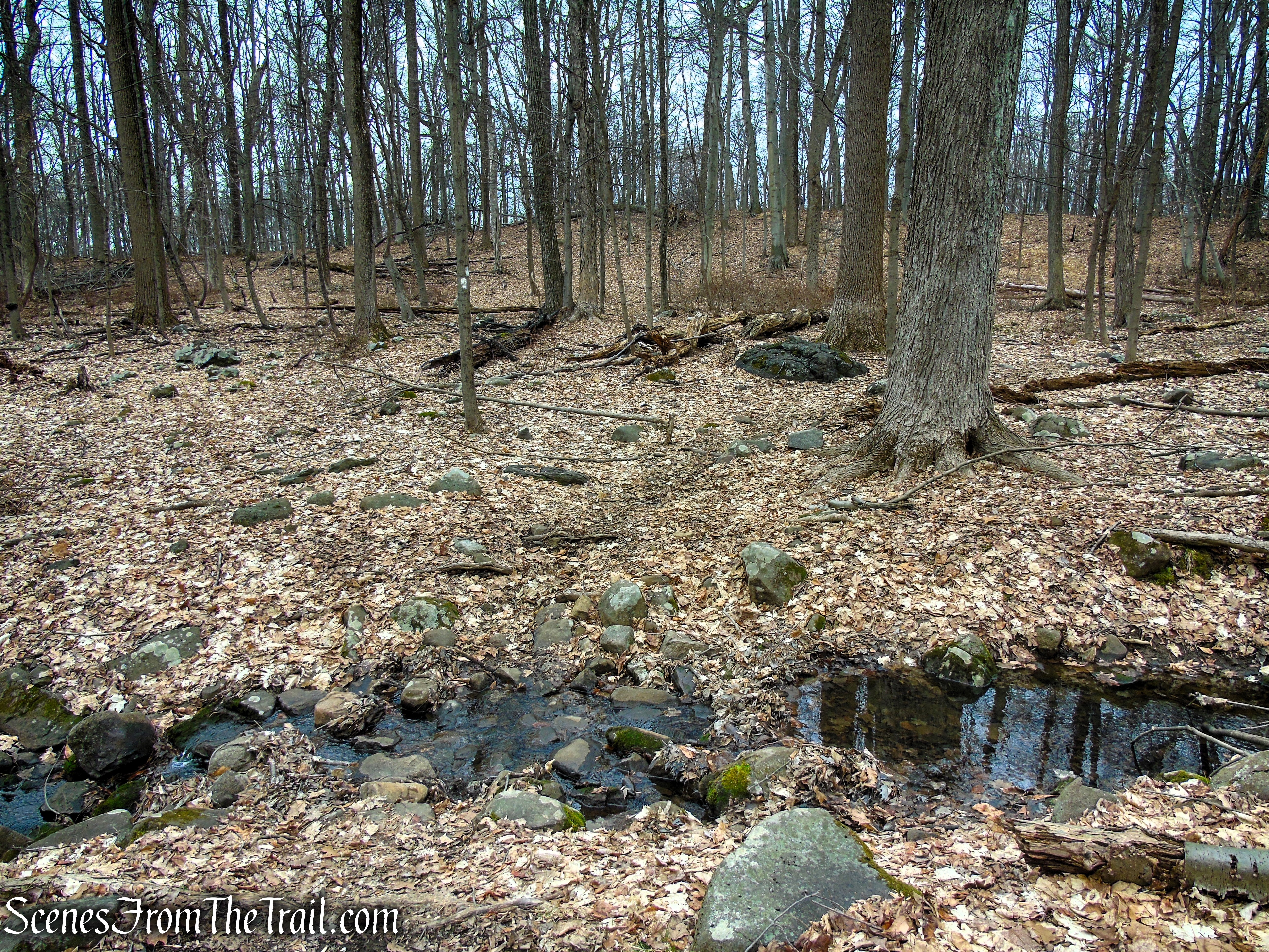 White Trail - Clausland Mountain Park