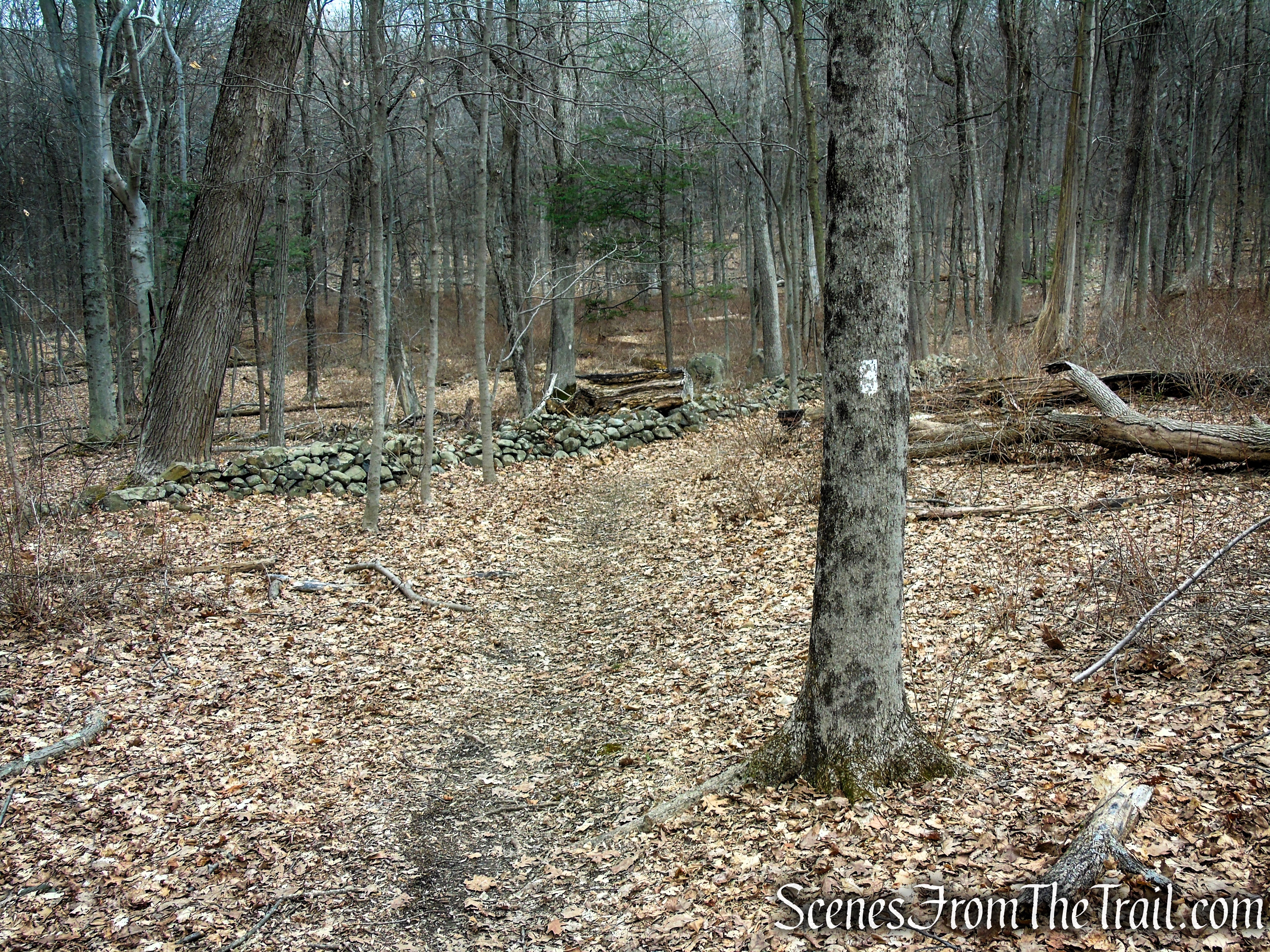 White Trail - Clausland Mountain Park