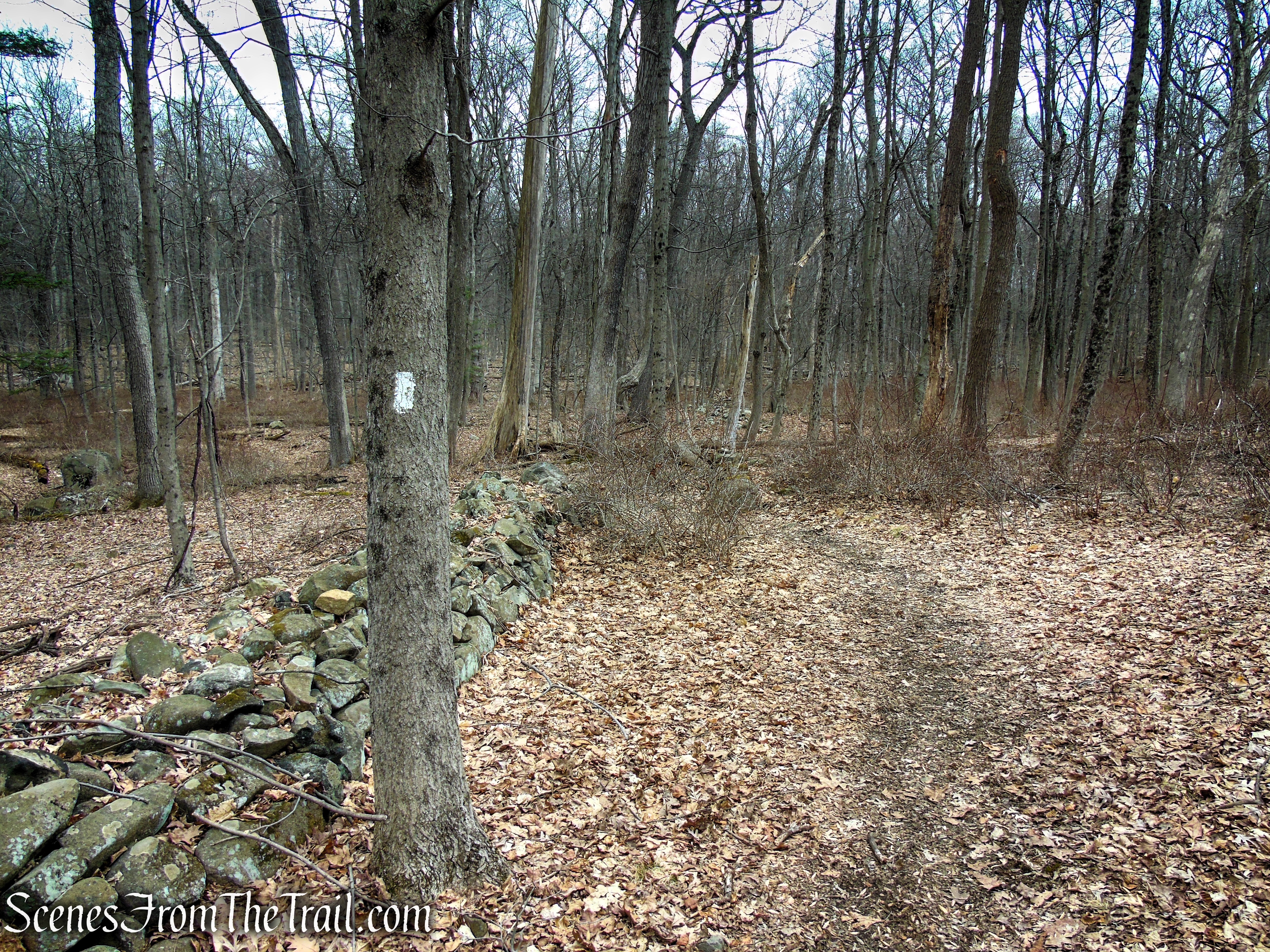 White Trail - Clausland Mountain Park