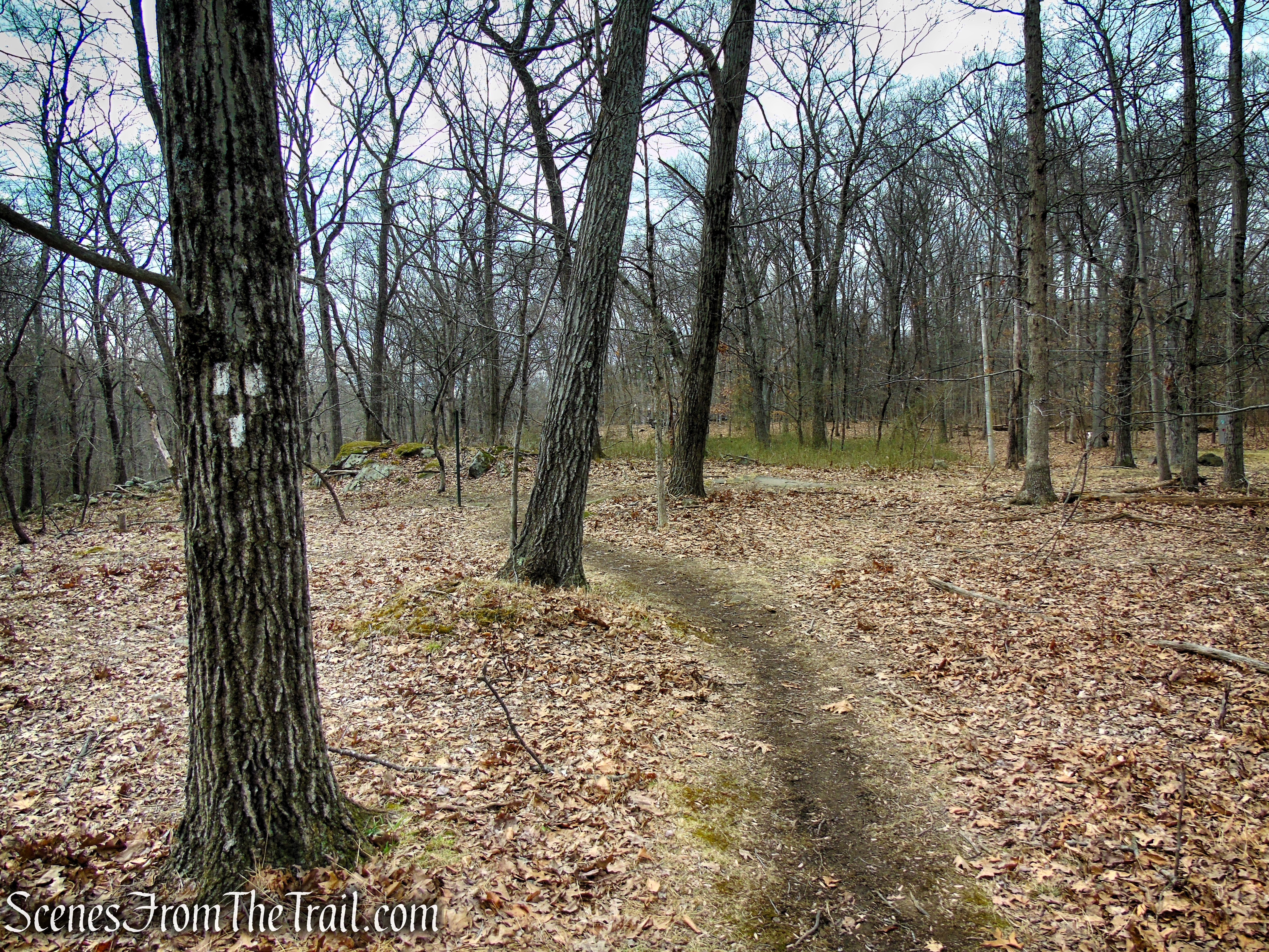White Trail - Clausland Mountain Park