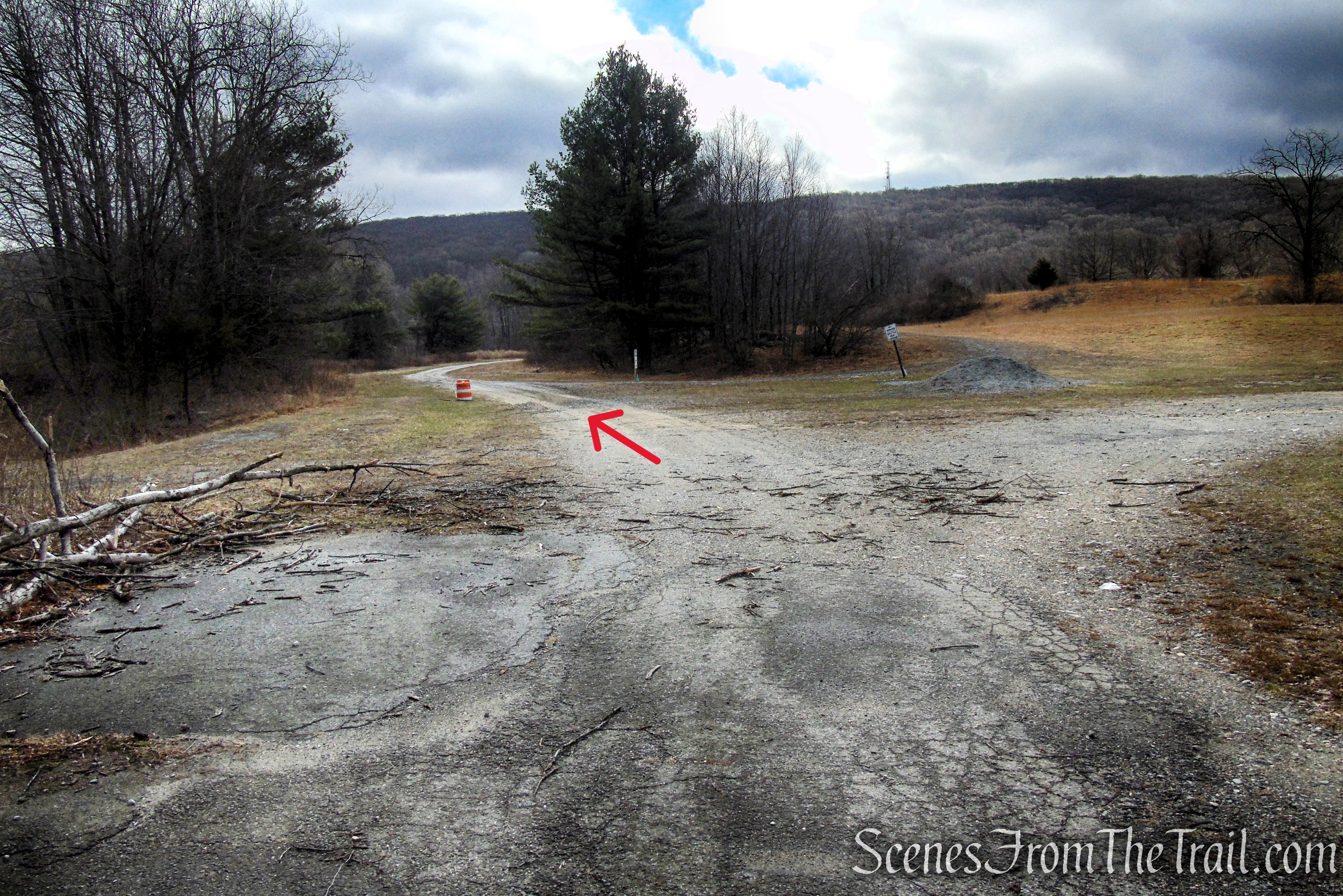 Fire Tower Trail - Mahlon Dickerson Reservation