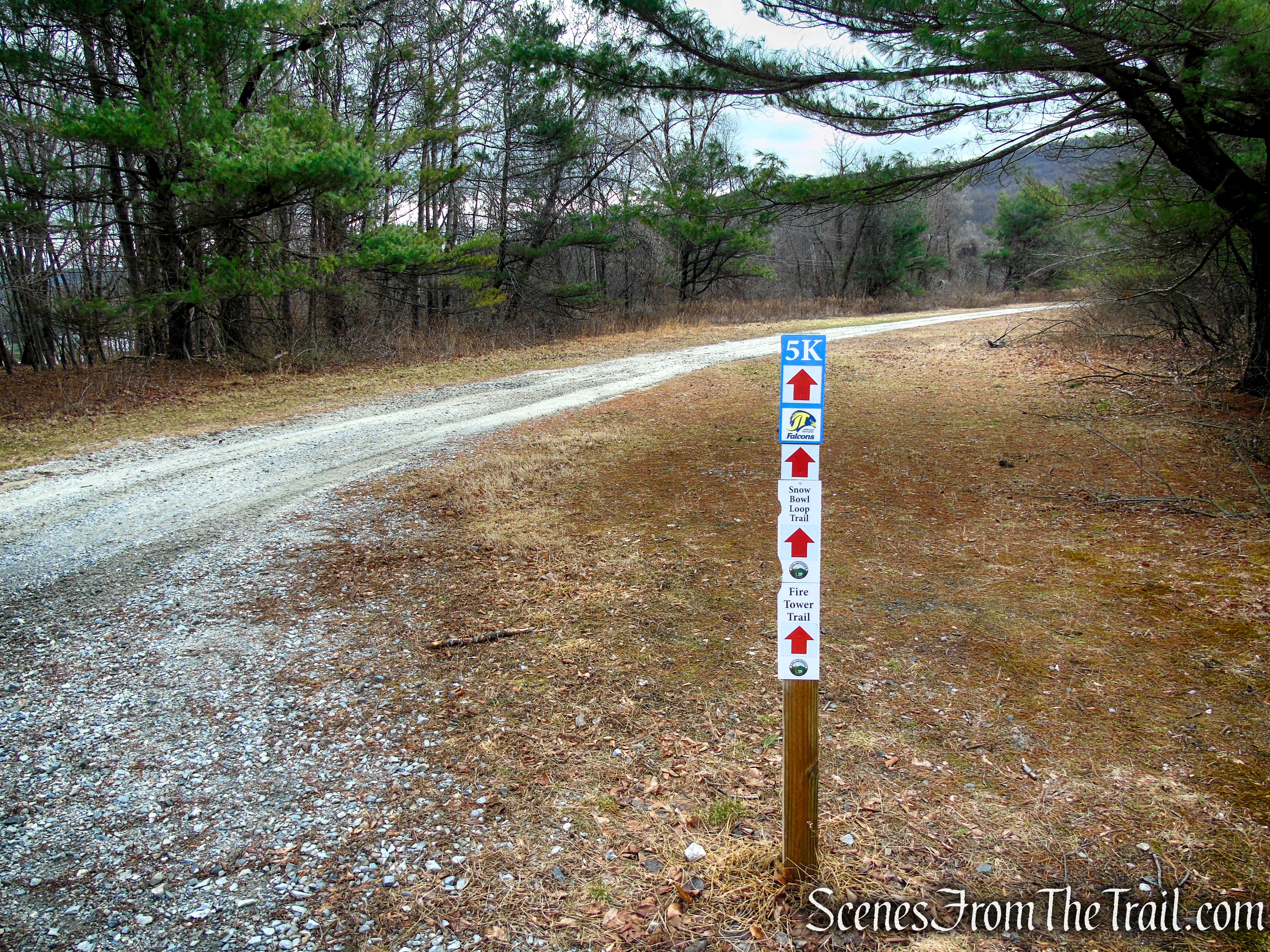 Fire Tower Trail - Mahlon Dickerson Reservation