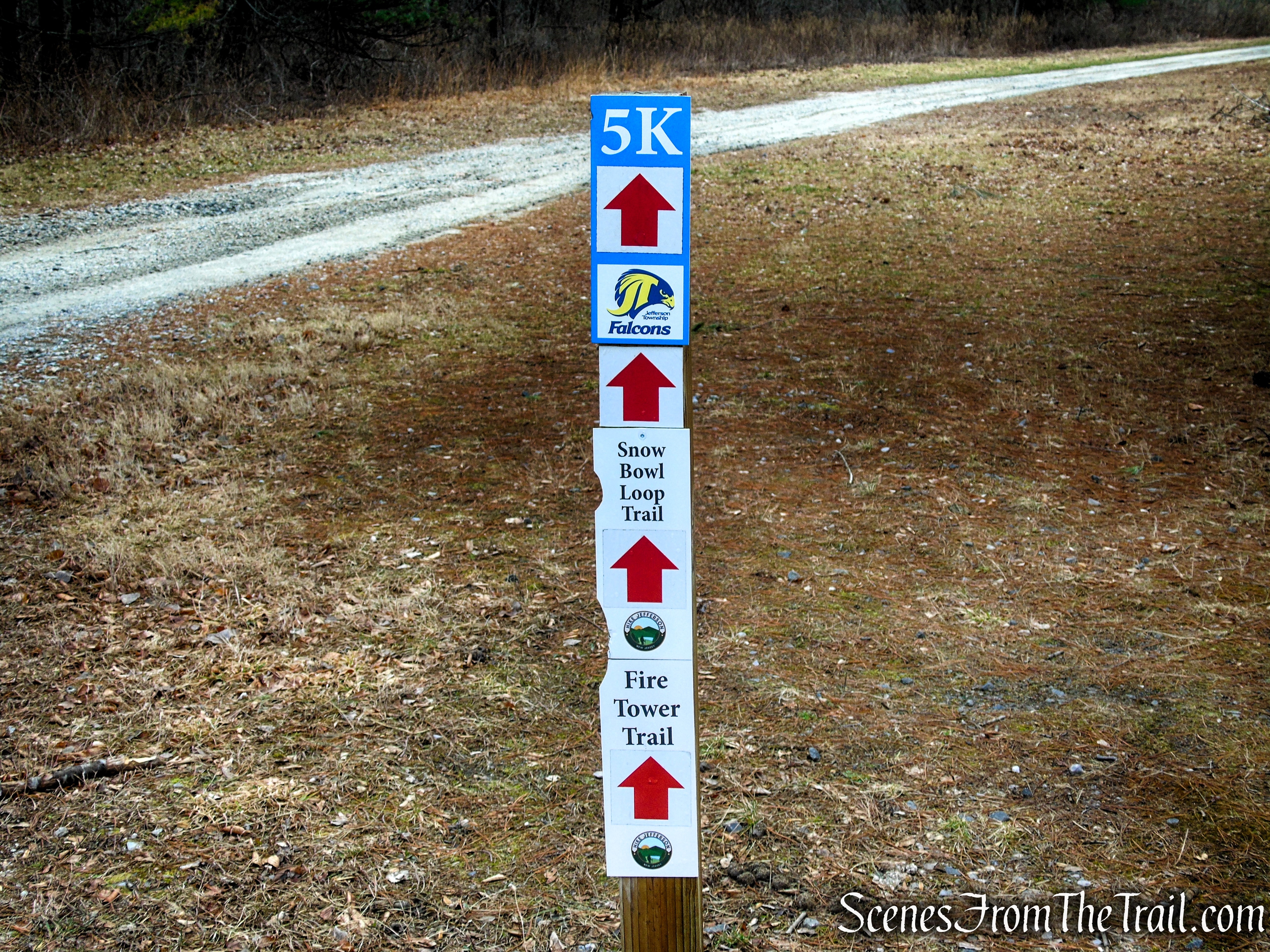 Fire Tower Trail - Mahlon Dickerson Reservation