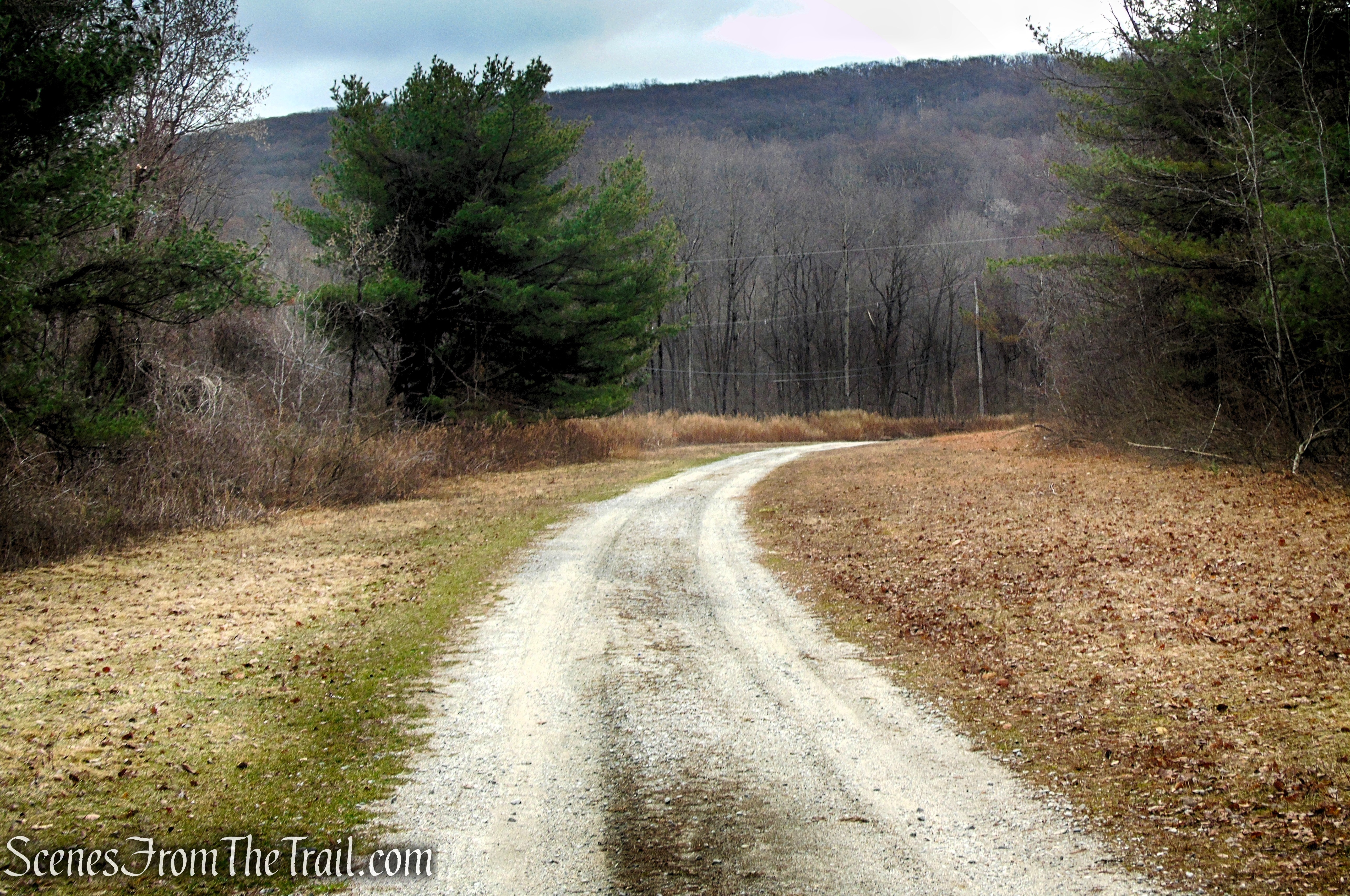 Fire Tower Trail - Mahlon Dickerson Reservation
