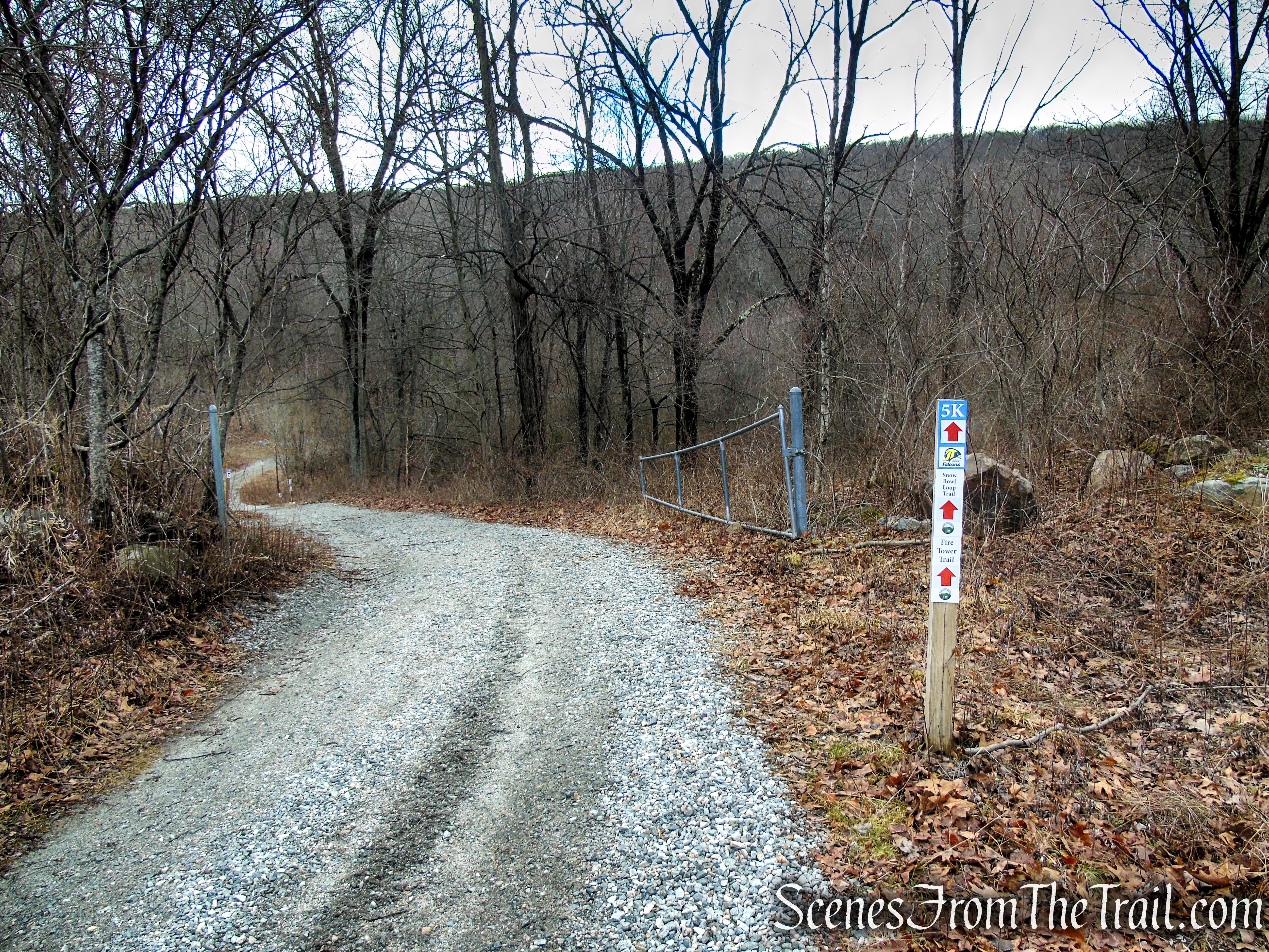 Fire Tower Trail - Mahlon Dickerson Reservation