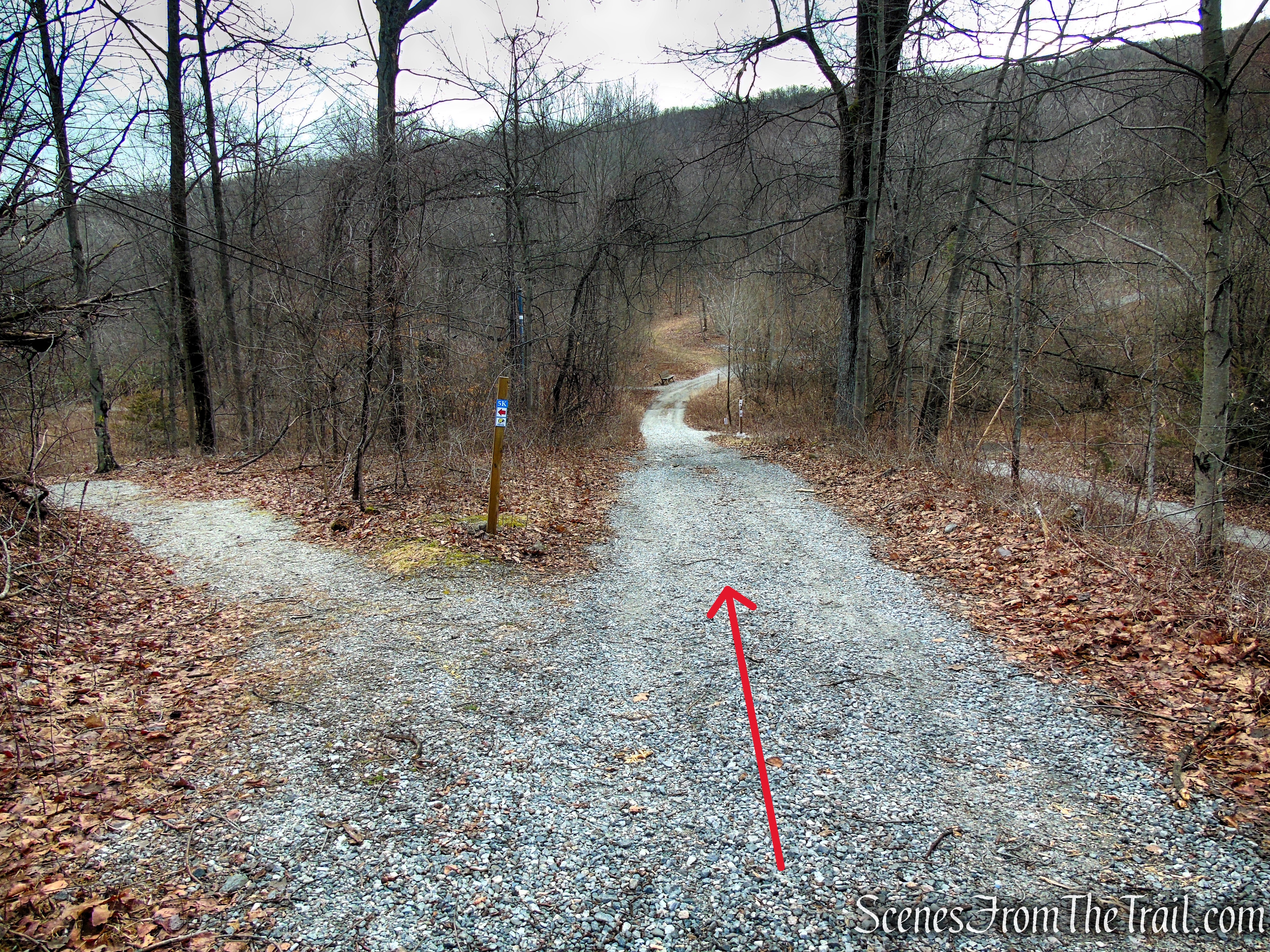 Fire Tower Trail - Mahlon Dickerson Reservation