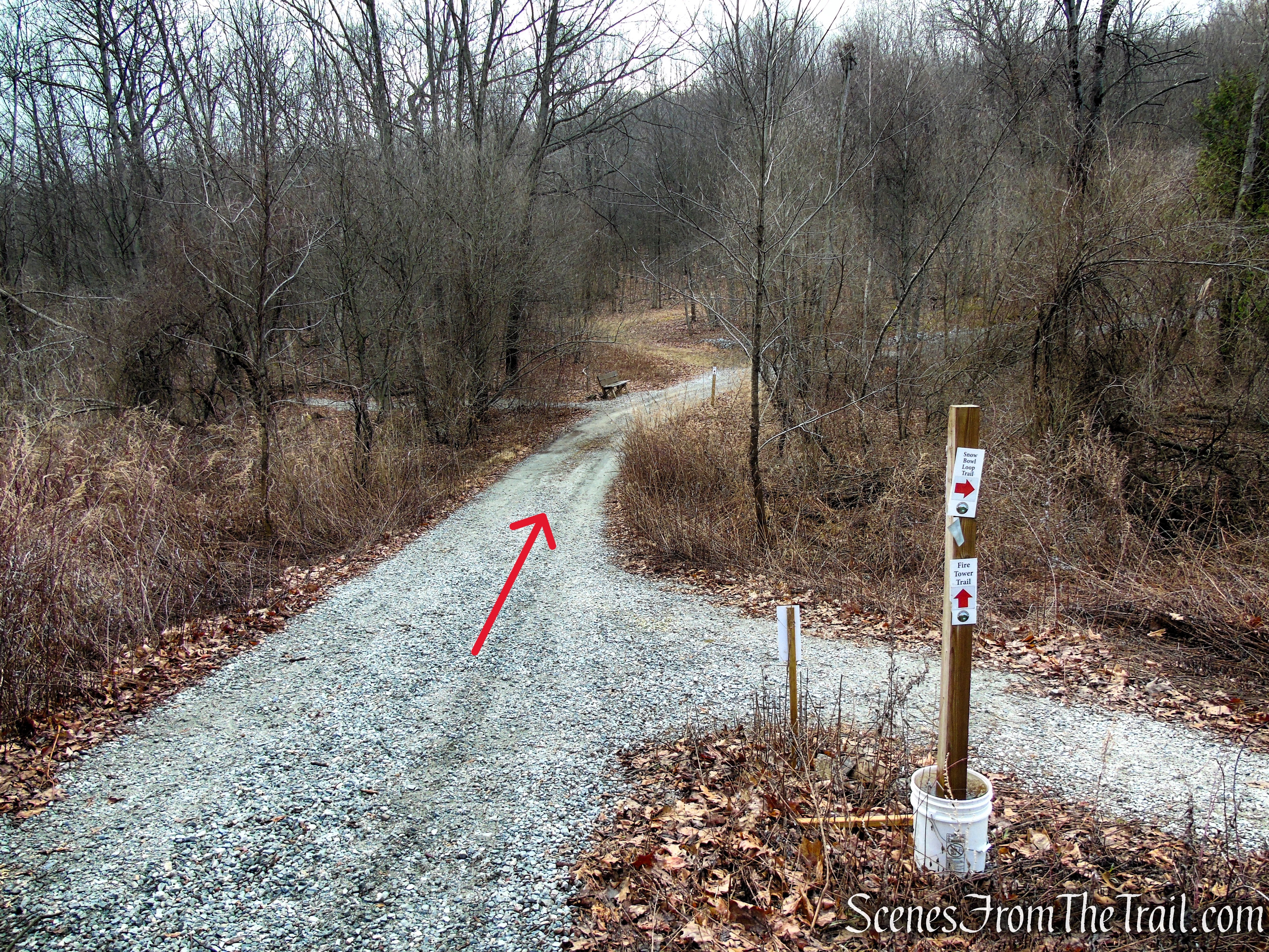 Fire Tower Trail - Mahlon Dickerson Reservation