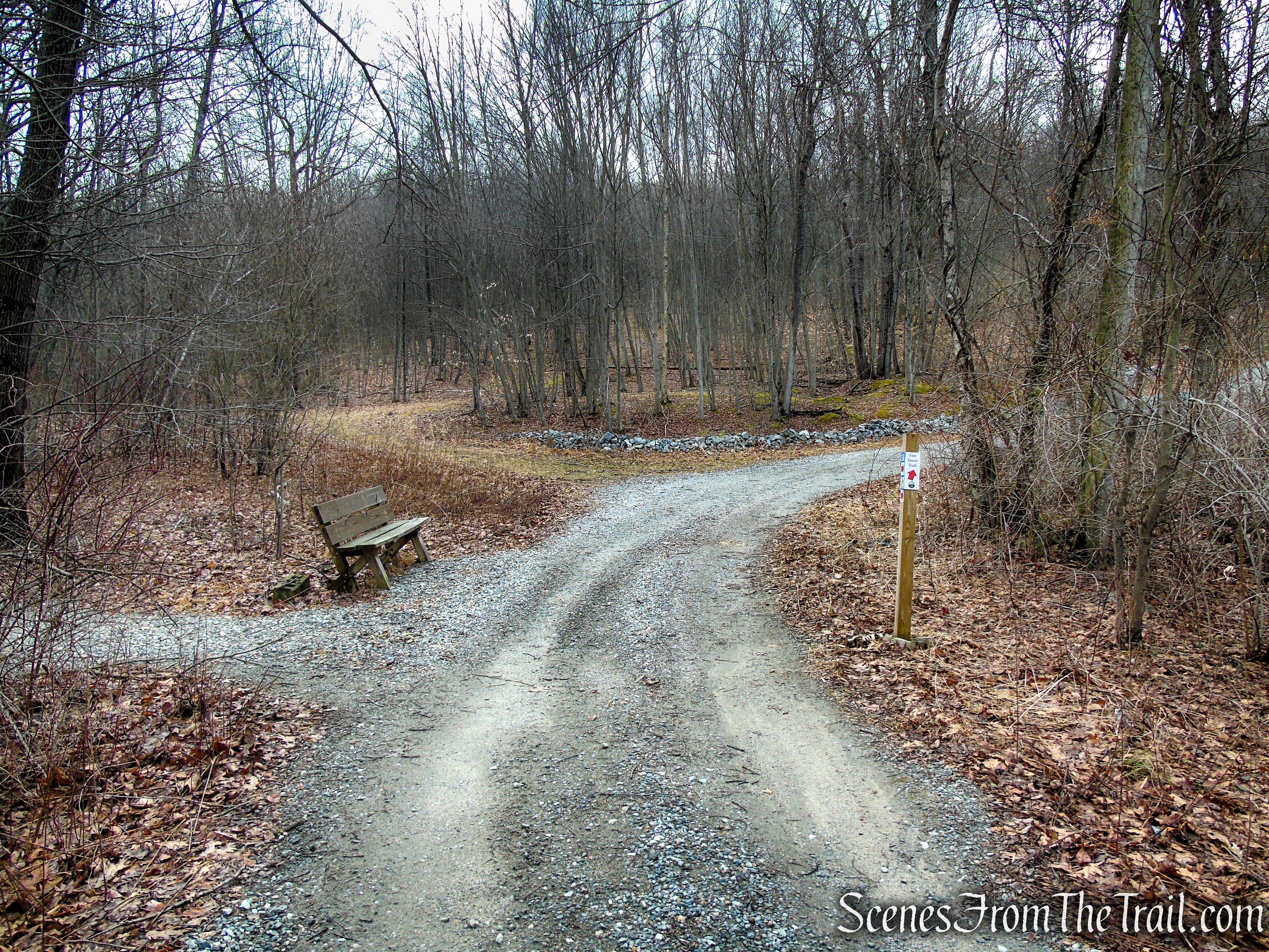 Fire Tower Trail - Mahlon Dickerson Reservation