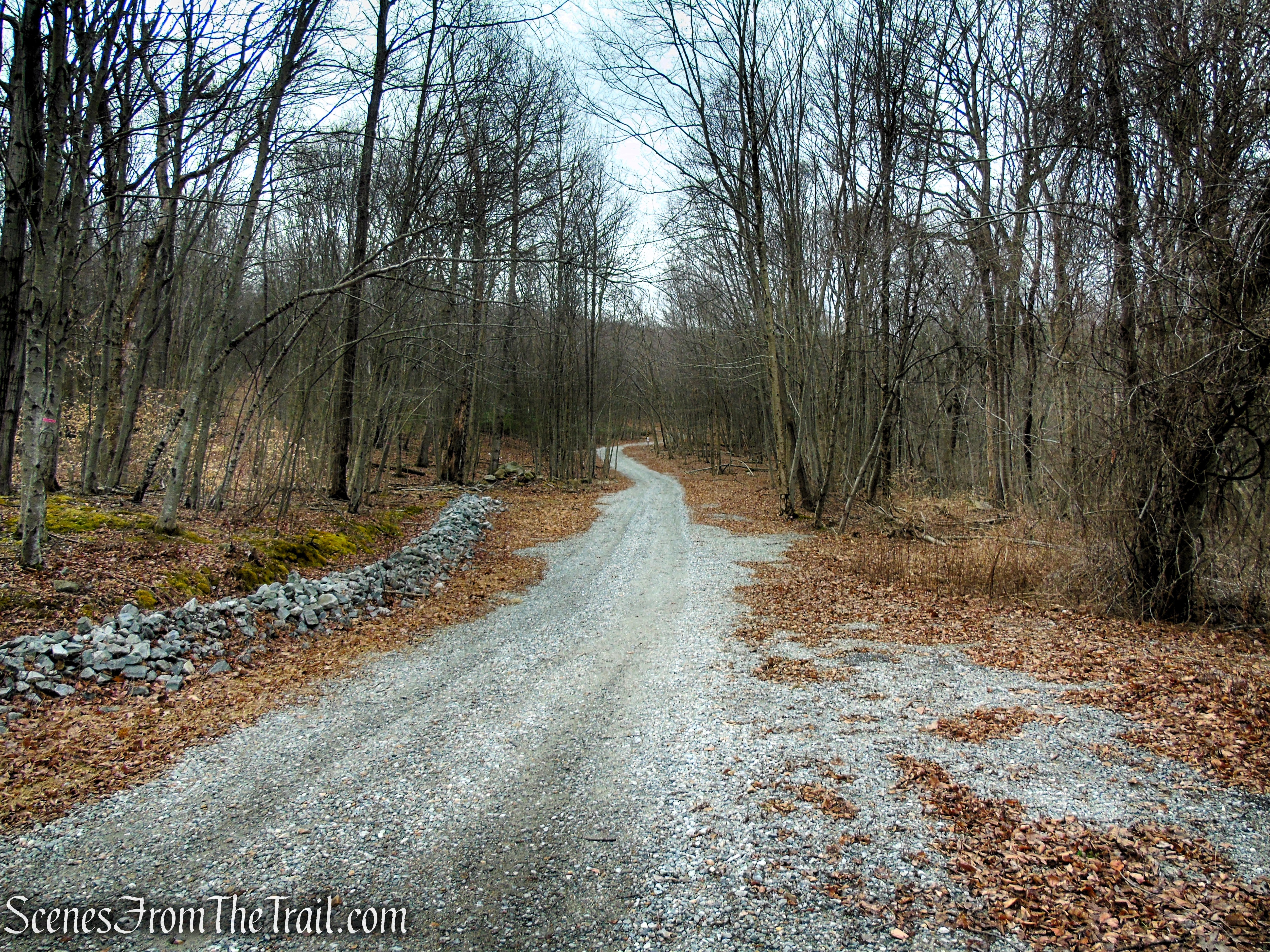 Fire Tower Trail - Mahlon Dickerson Reservation