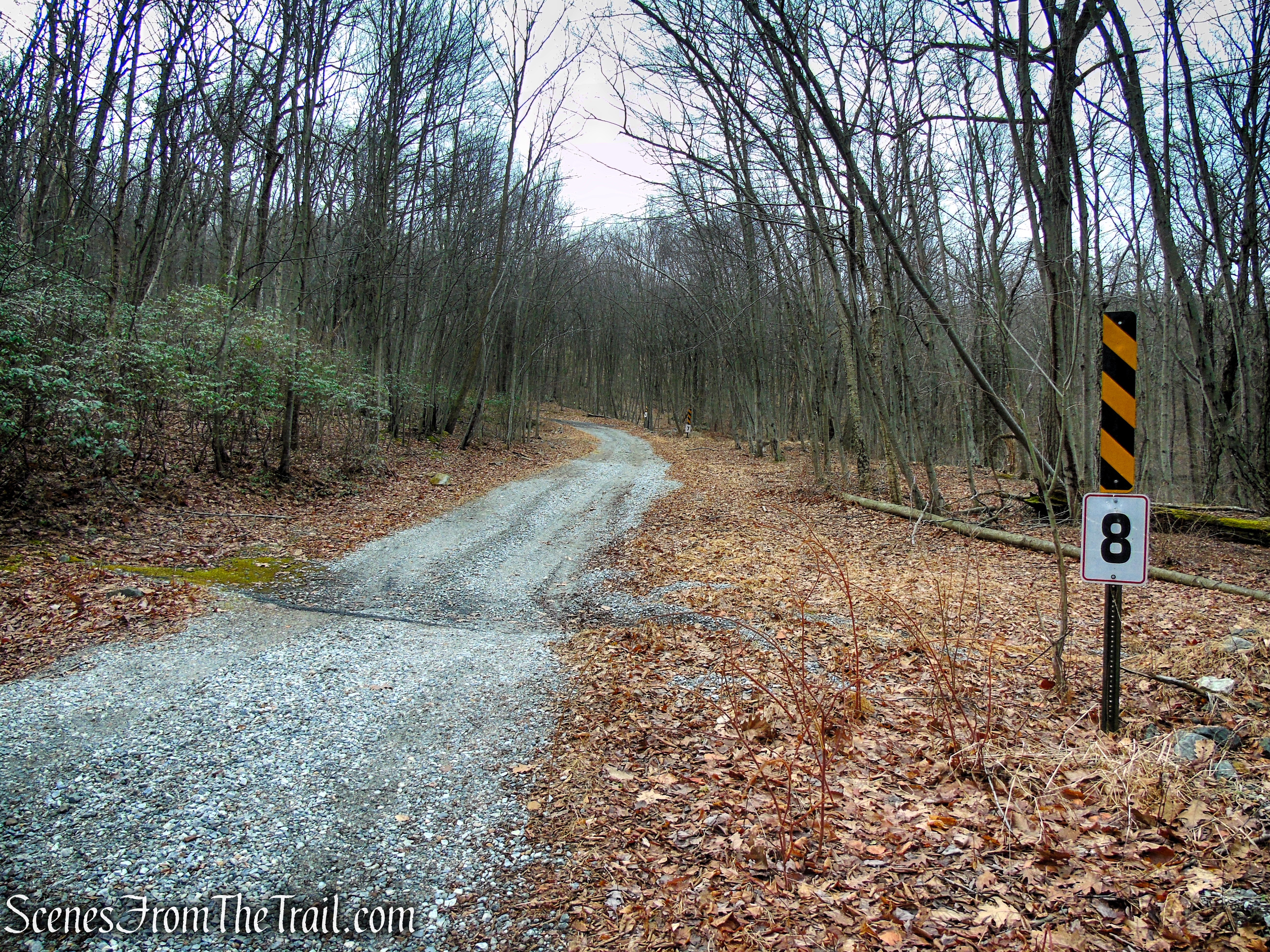 Fire Tower Trail - Mahlon Dickerson Reservation