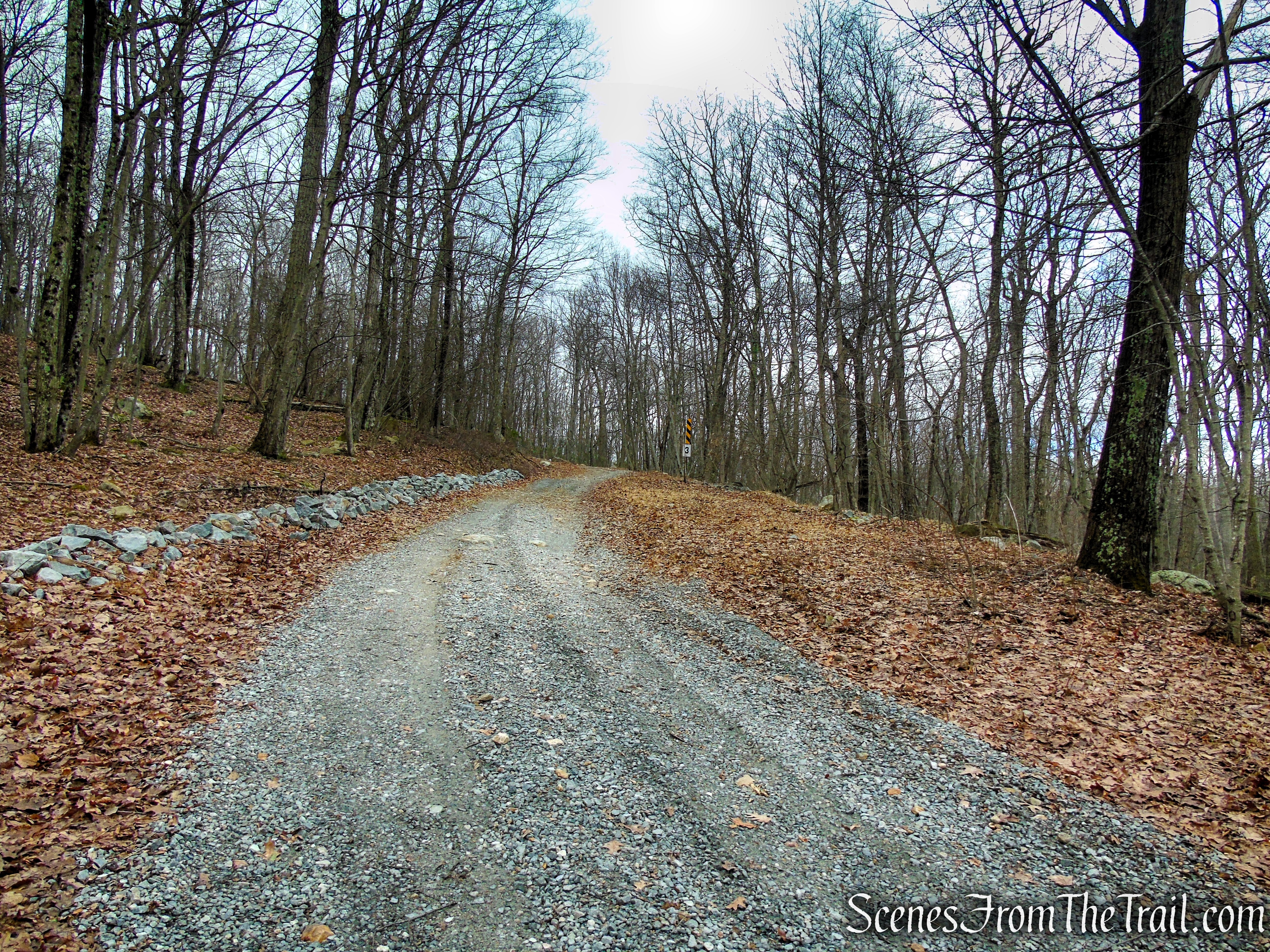 Fire Tower Trail - Mahlon Dickerson Reservation