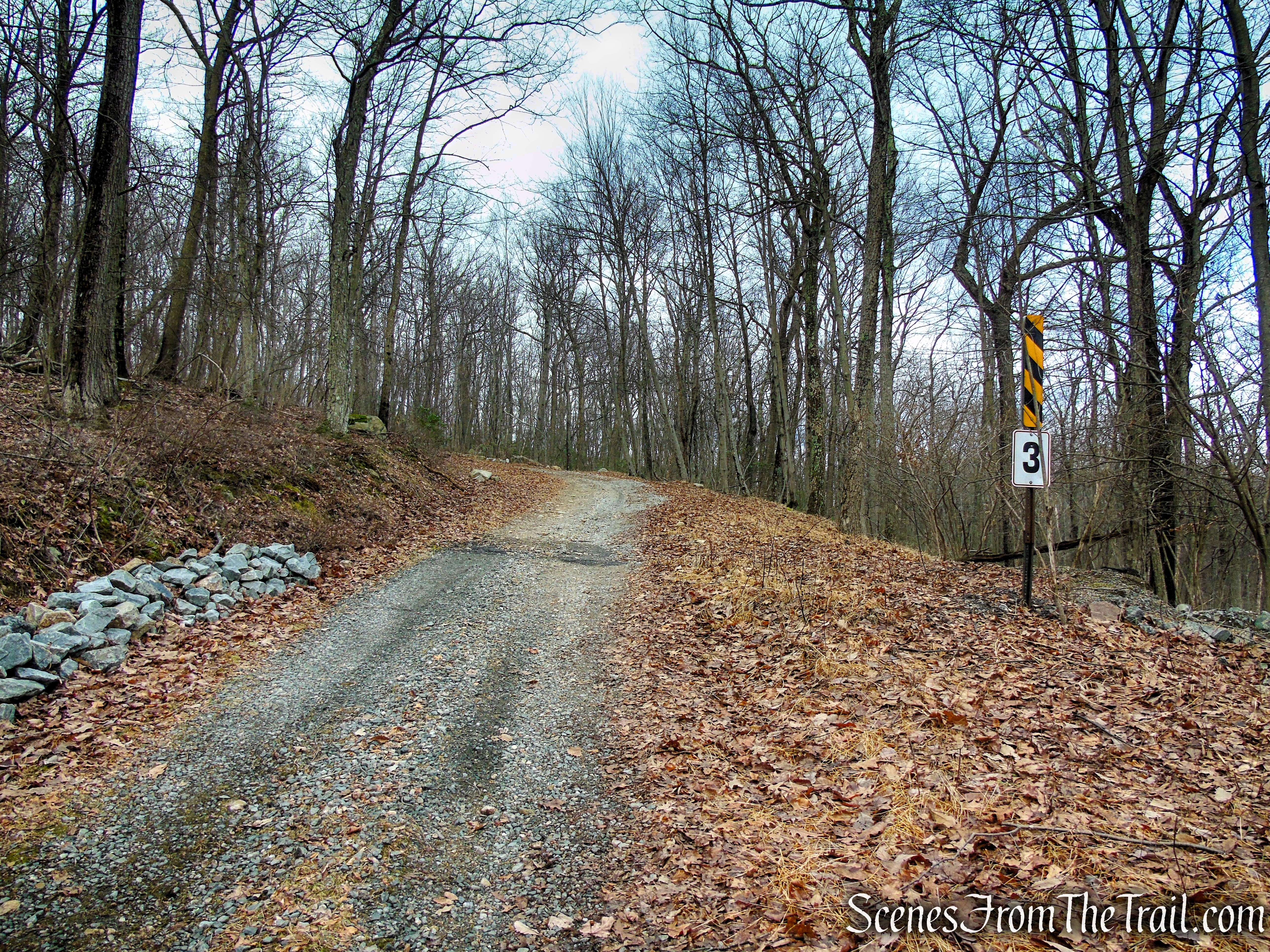 Fire Tower Trail - Mahlon Dickerson Reservation