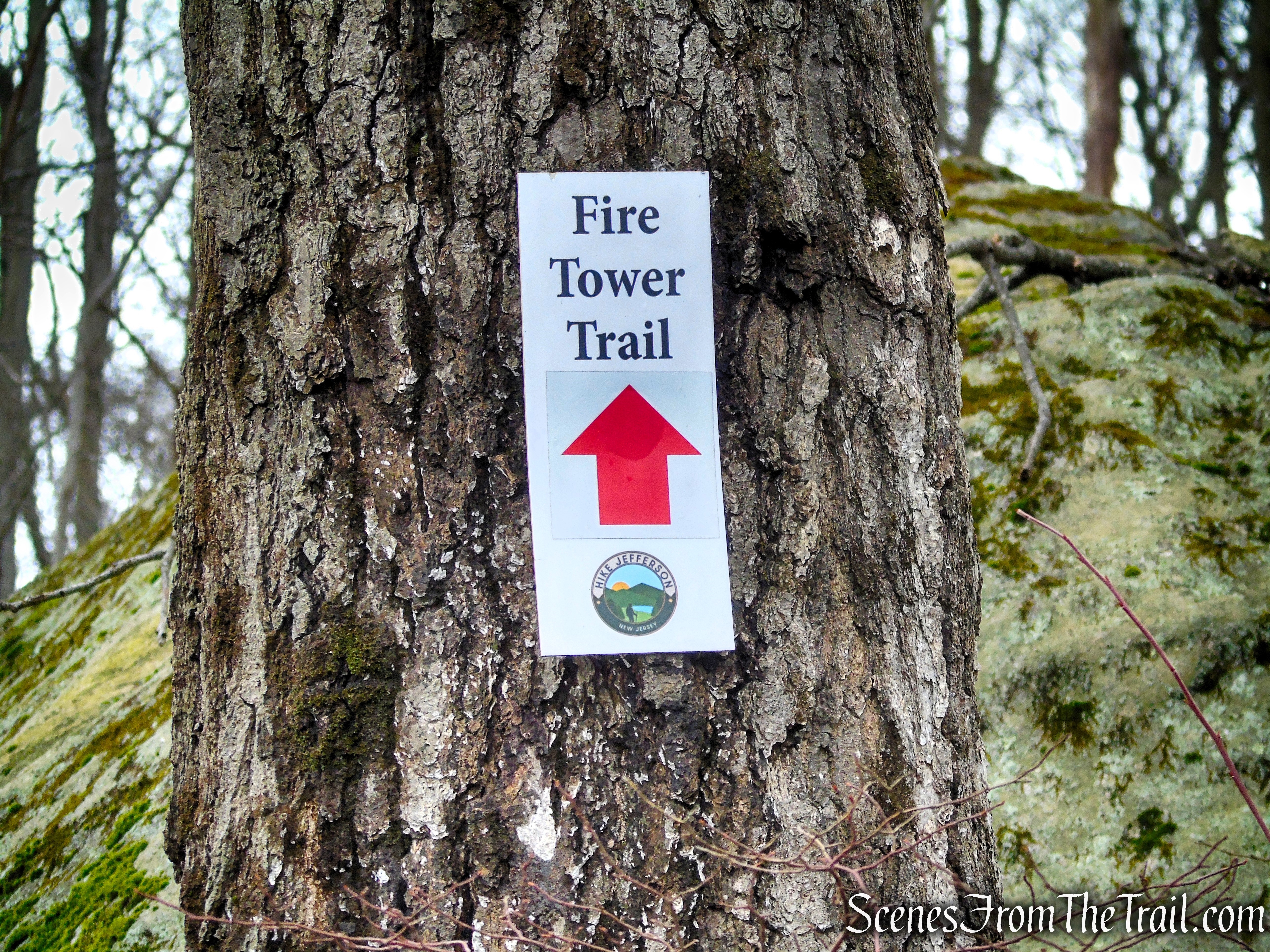 Fire Tower Trail - Mahlon Dickerson Reservation