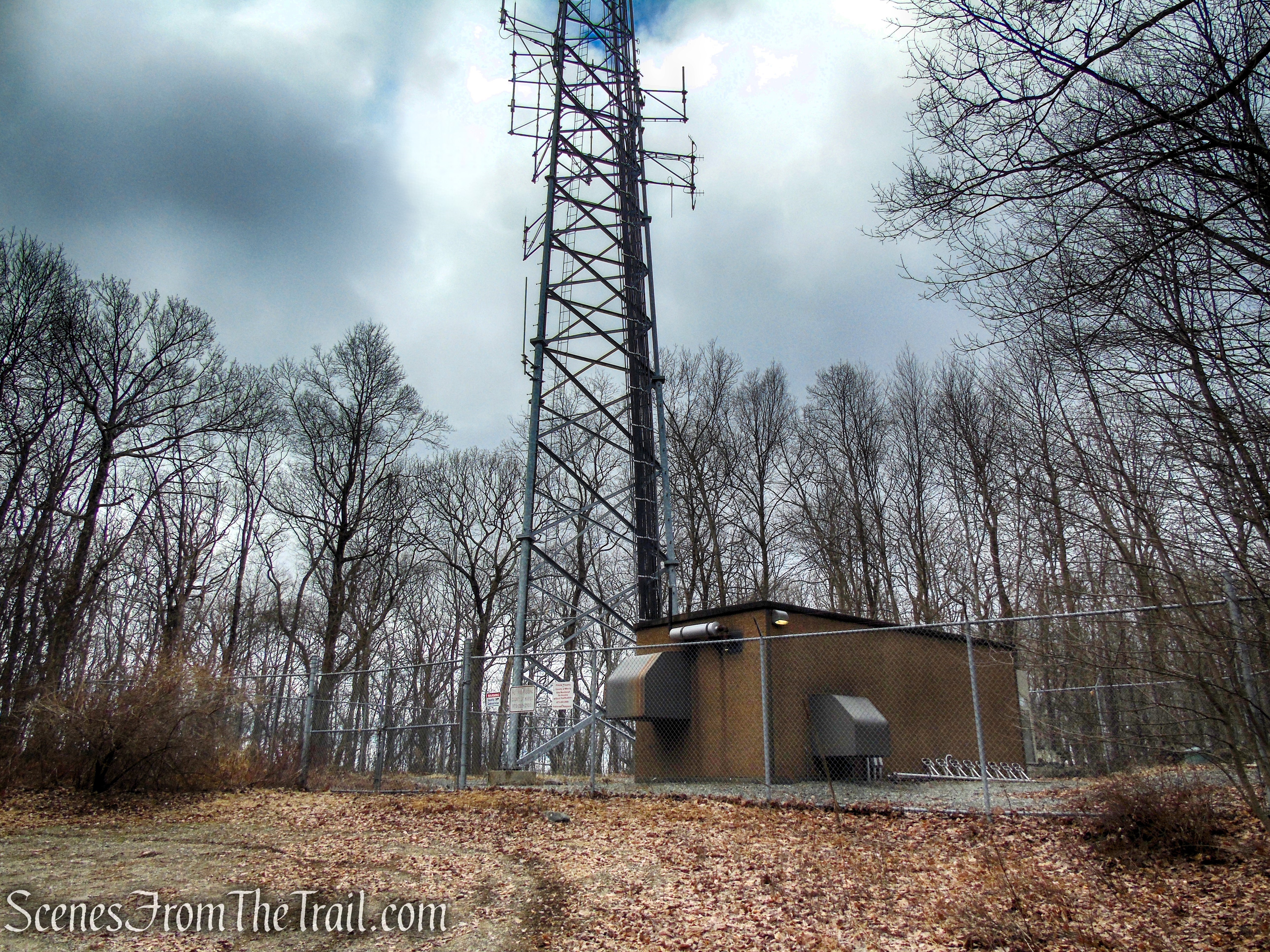 Fire Tower Trail - Mahlon Dickerson Reservation