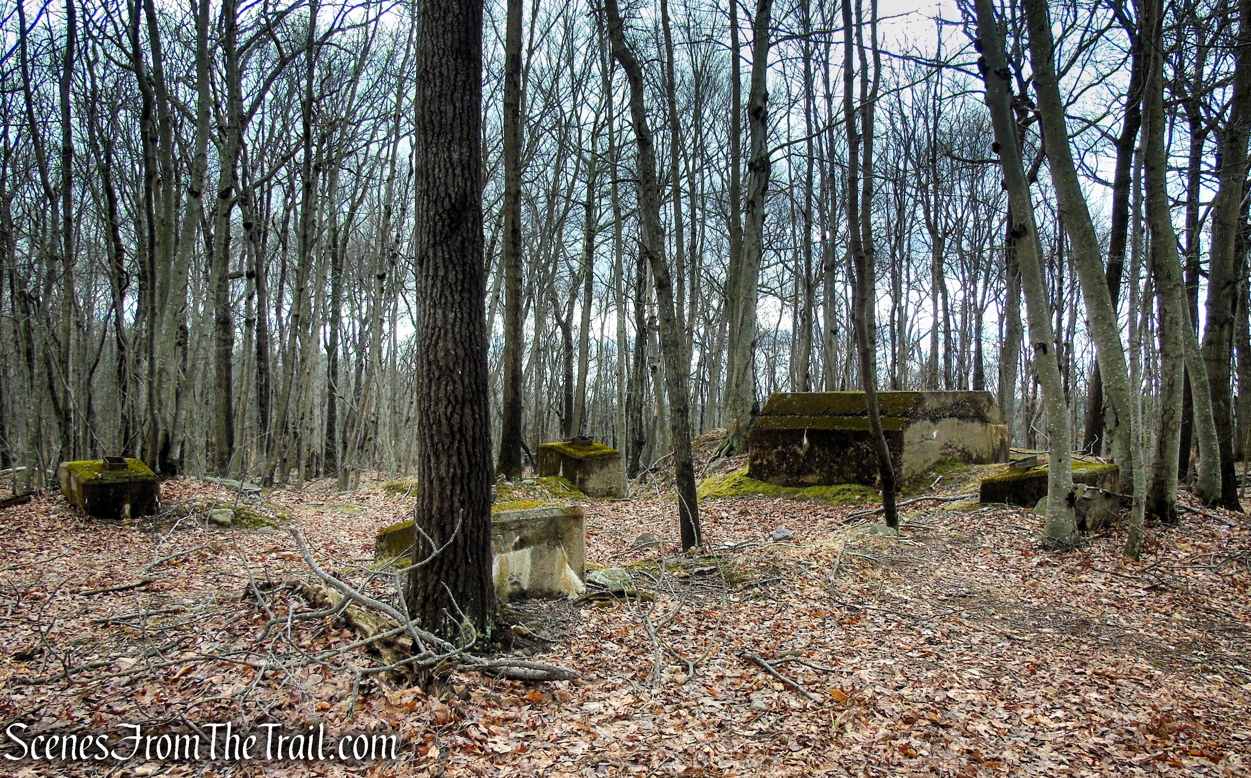 Fire Tower Trail - Mahlon Dickerson Reservation