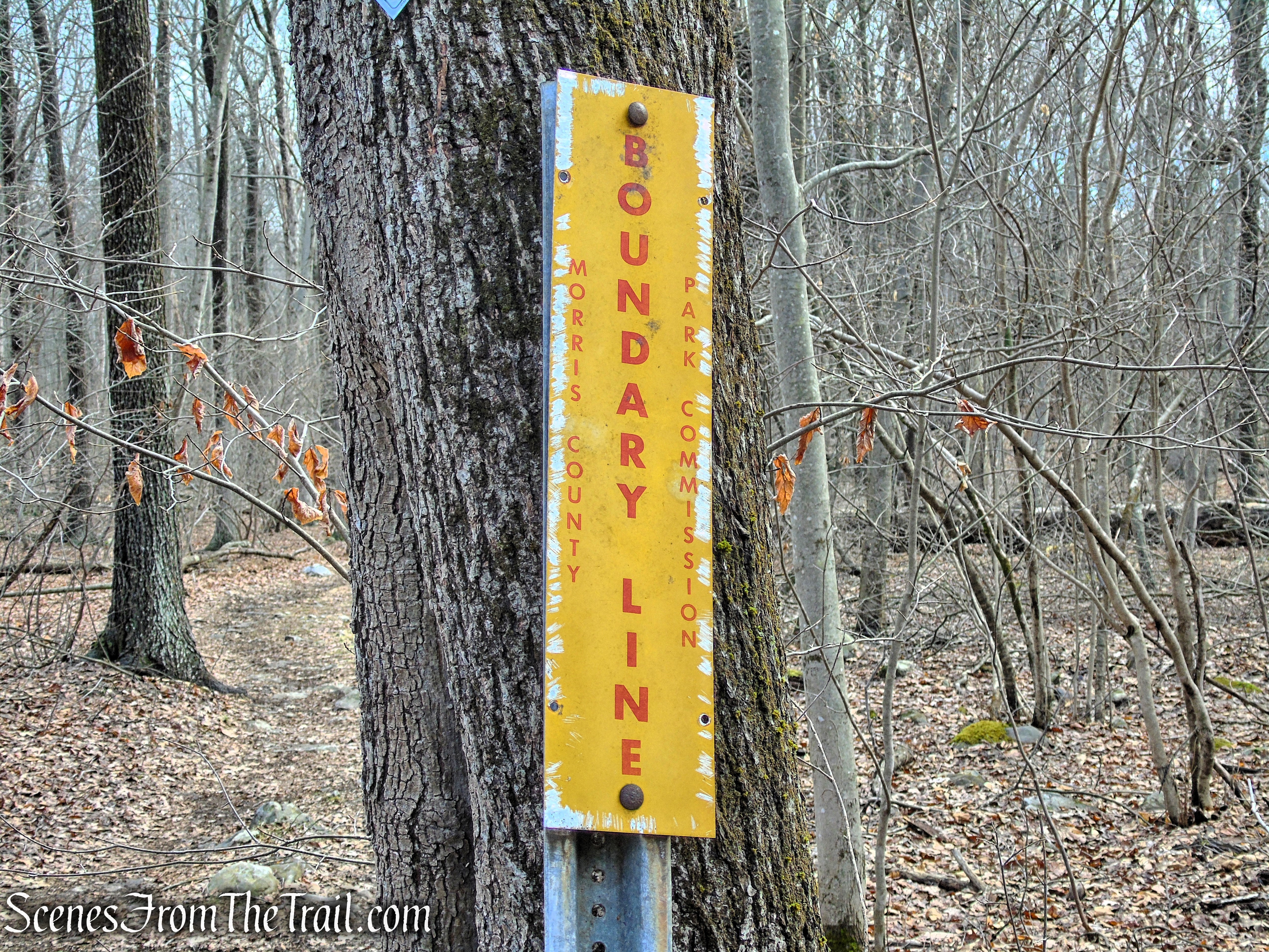 Fire Tower Trail - Mahlon Dickerson Reservation