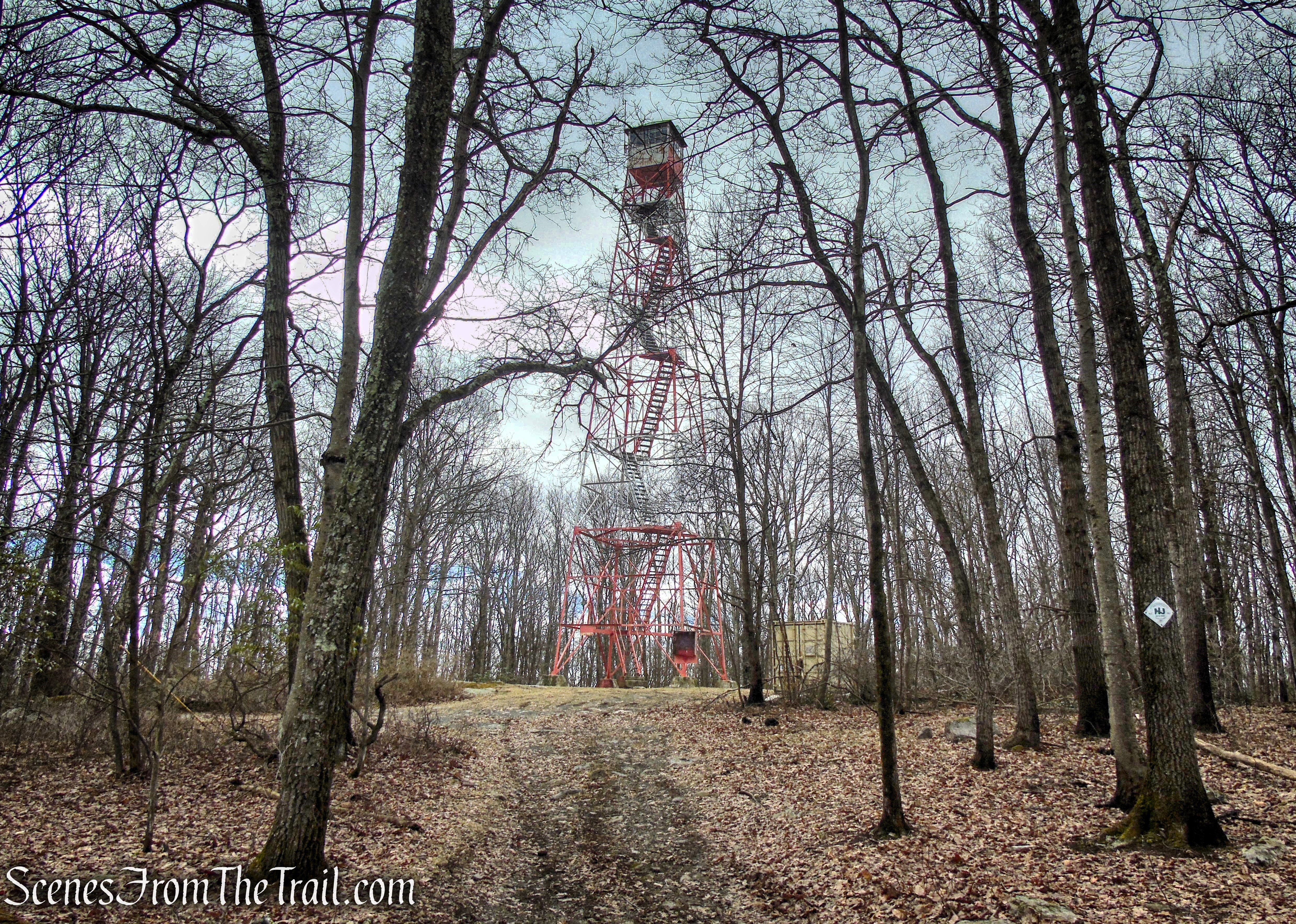 Fire Tower Trail - Mahlon Dickerson Reservation